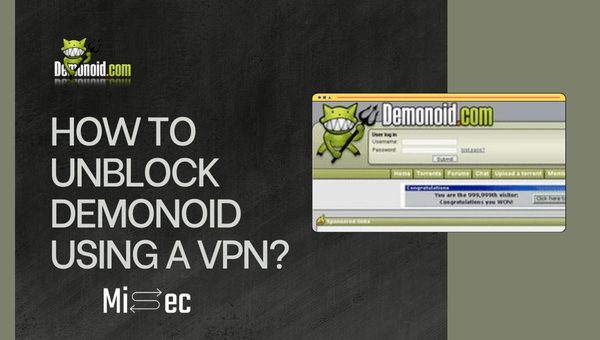 How to Unblock Demonoid Using a VPN?