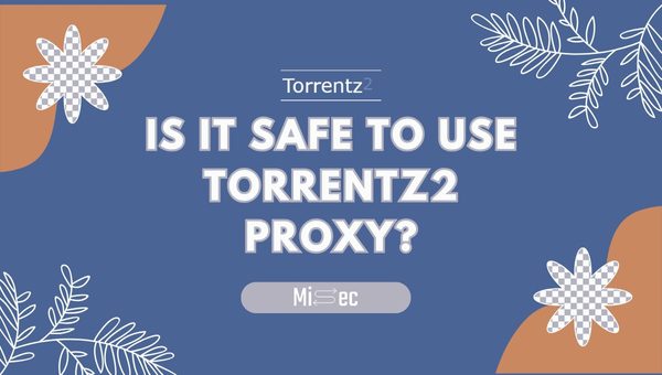 Is It Safe to Use Torrentz2 Proxy?