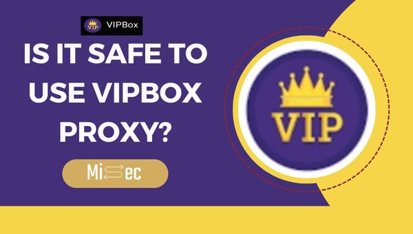 Is It Safe to Use VIPBox Proxy?