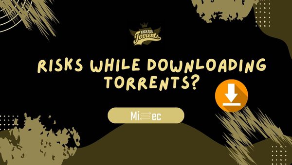 Risks While Downloading Torrents?