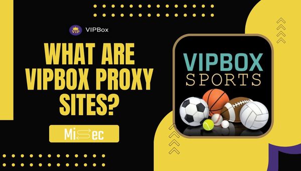 What Are VIPBox Proxy Sites?