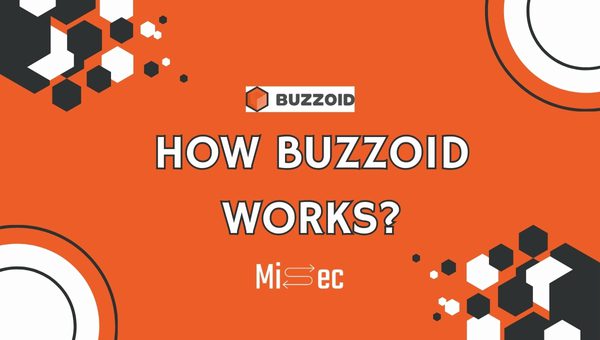 How Buzzoid Works?