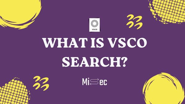 What is VSCO Search?