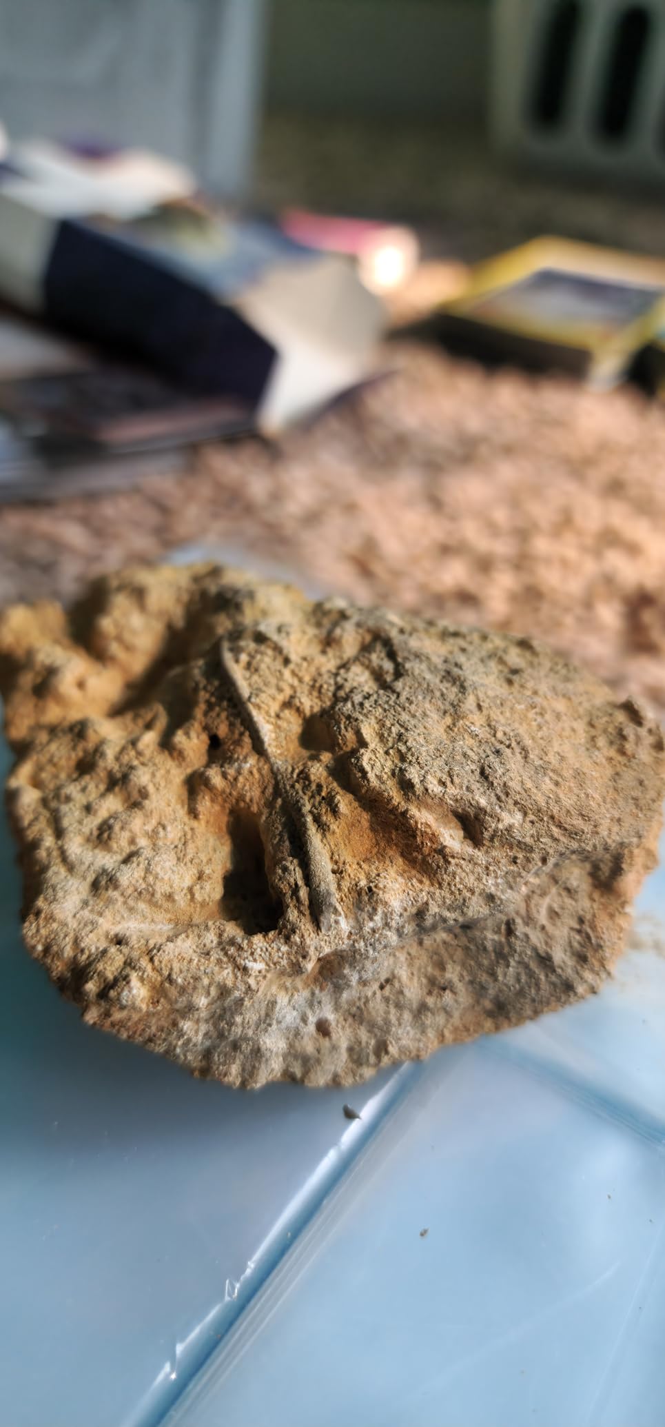 Dremel 120-Volt Engraver Rotary Tool with Stencils - Crafting Machine Perfect for DIY Personalizing and Engraving Leather, Metal, Glass, and Wood , Black, 290-02 customer photo 2