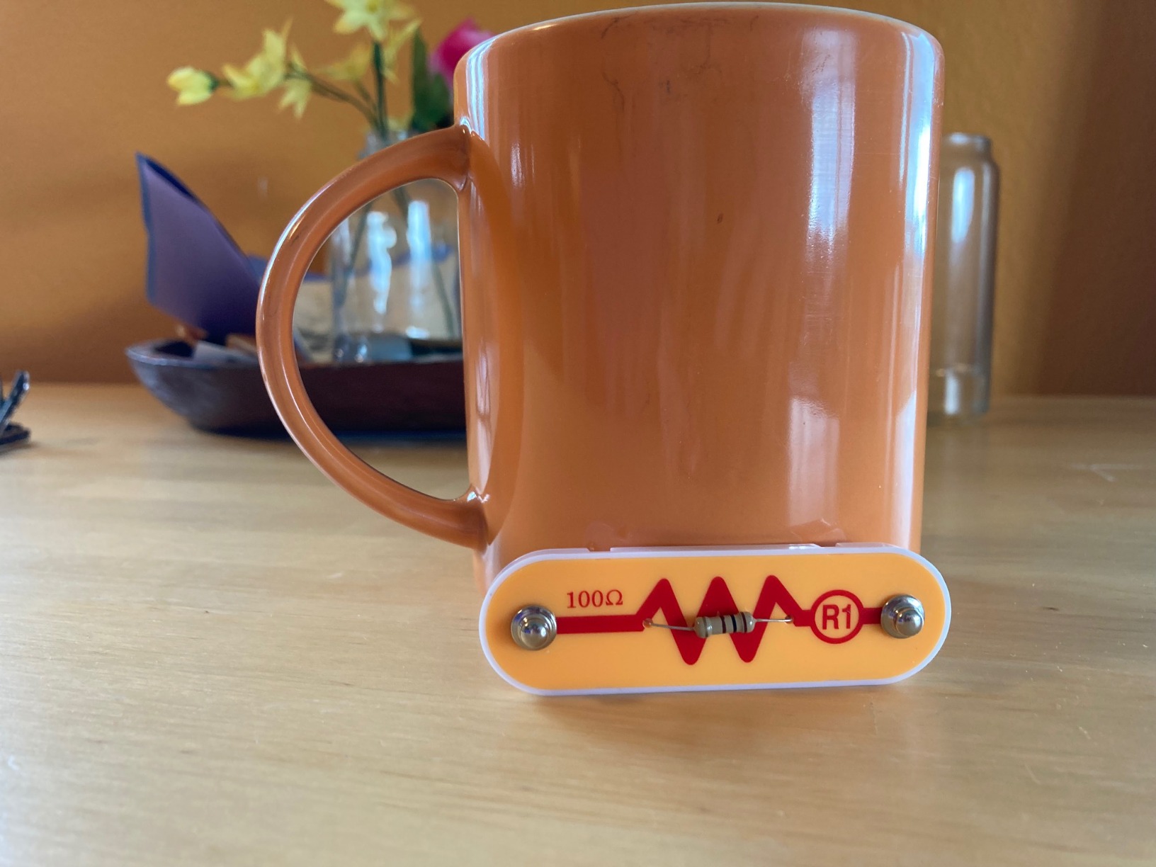 Snap Circuits Jr. SC-100 Electronics Exploration Kit, Over 100 Projects, Full Color Project Manual, 28 Parts, STEM Educational Toy for Kids 8 + customer photo 2