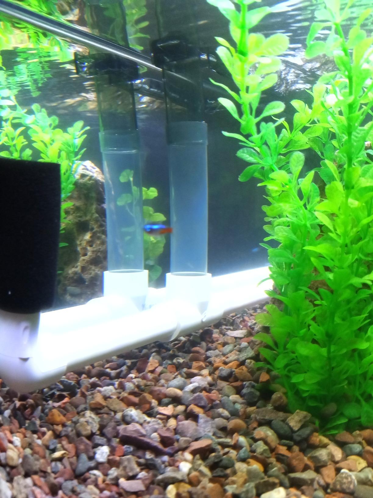 AquaClear 30 Power Filter, Fish Tank Filter for 10- to 30-Gallon Aquariums customer photo 1