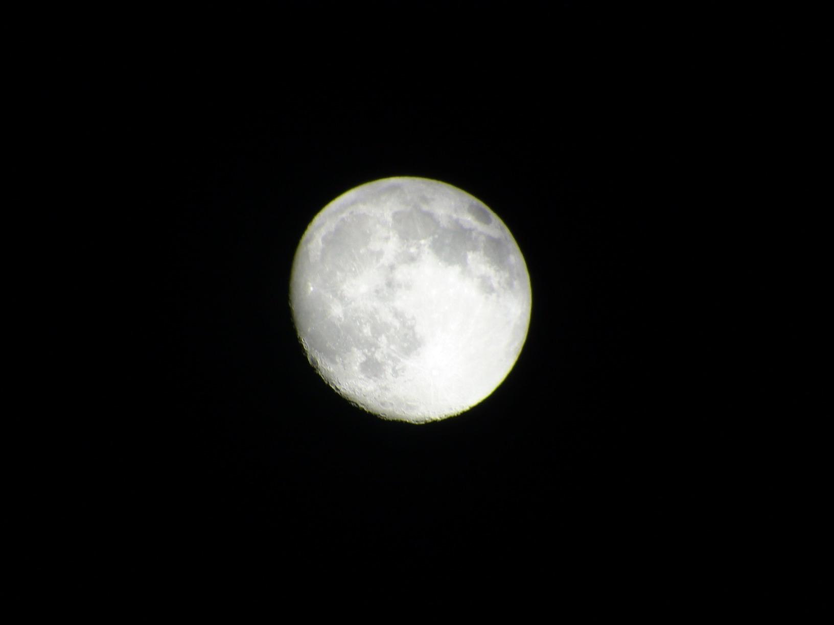 Celestron - Ultima 100 Angled Spotting Scope - 22-66x Zoom Eyepiece - Multi-Coated Optics for Bird Watching, Wildlife, Scenery and Hunting - Waterproof & Fogproof - Includes Soft Carrying Case customer photo 1