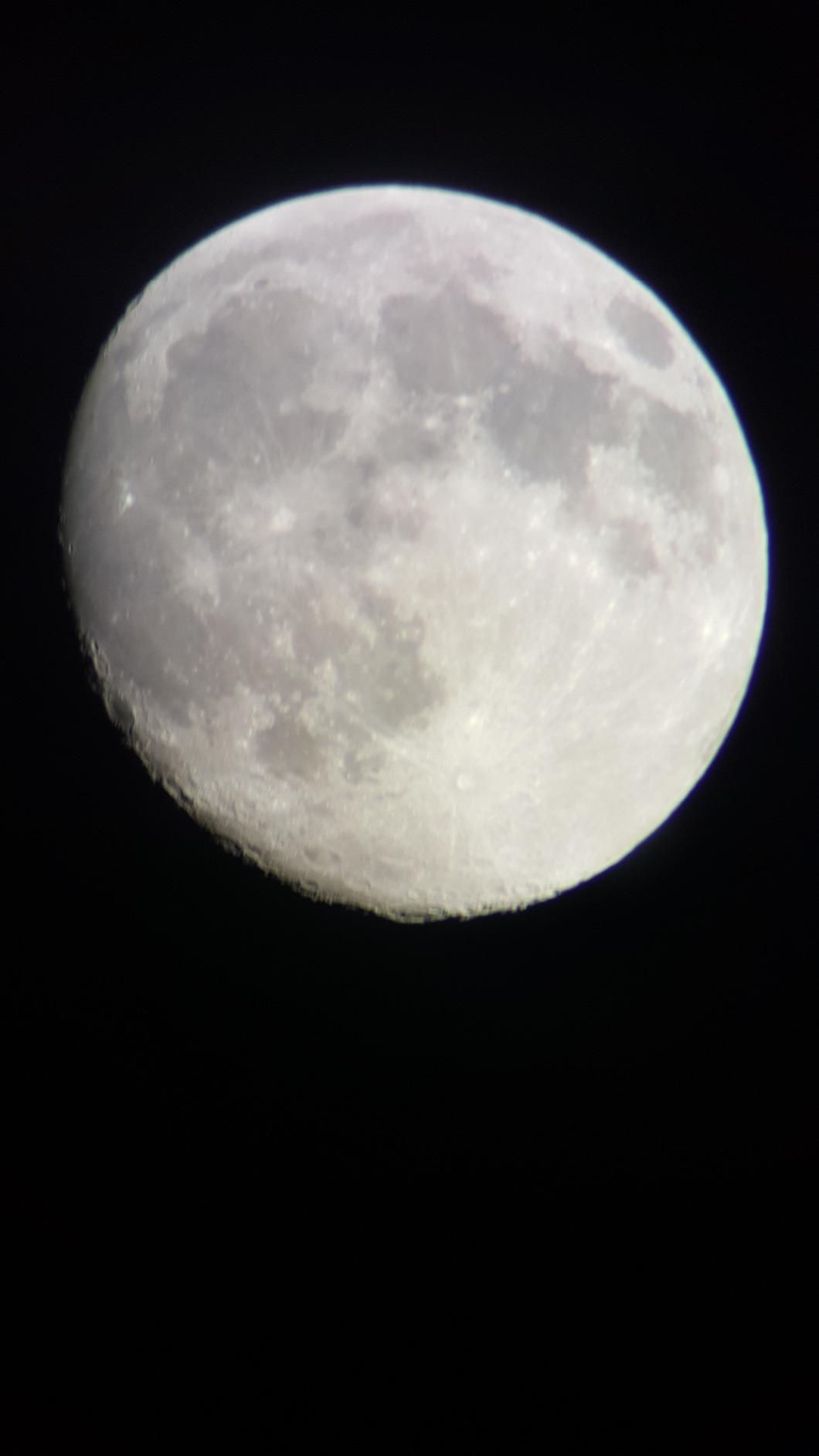 Celestron - Ultima 100 Angled Spotting Scope - 22-66x Zoom Eyepiece - Multi-Coated Optics for Bird Watching, Wildlife, Scenery and Hunting - Waterproof & Fogproof - Includes Soft Carrying Case customer photo 2