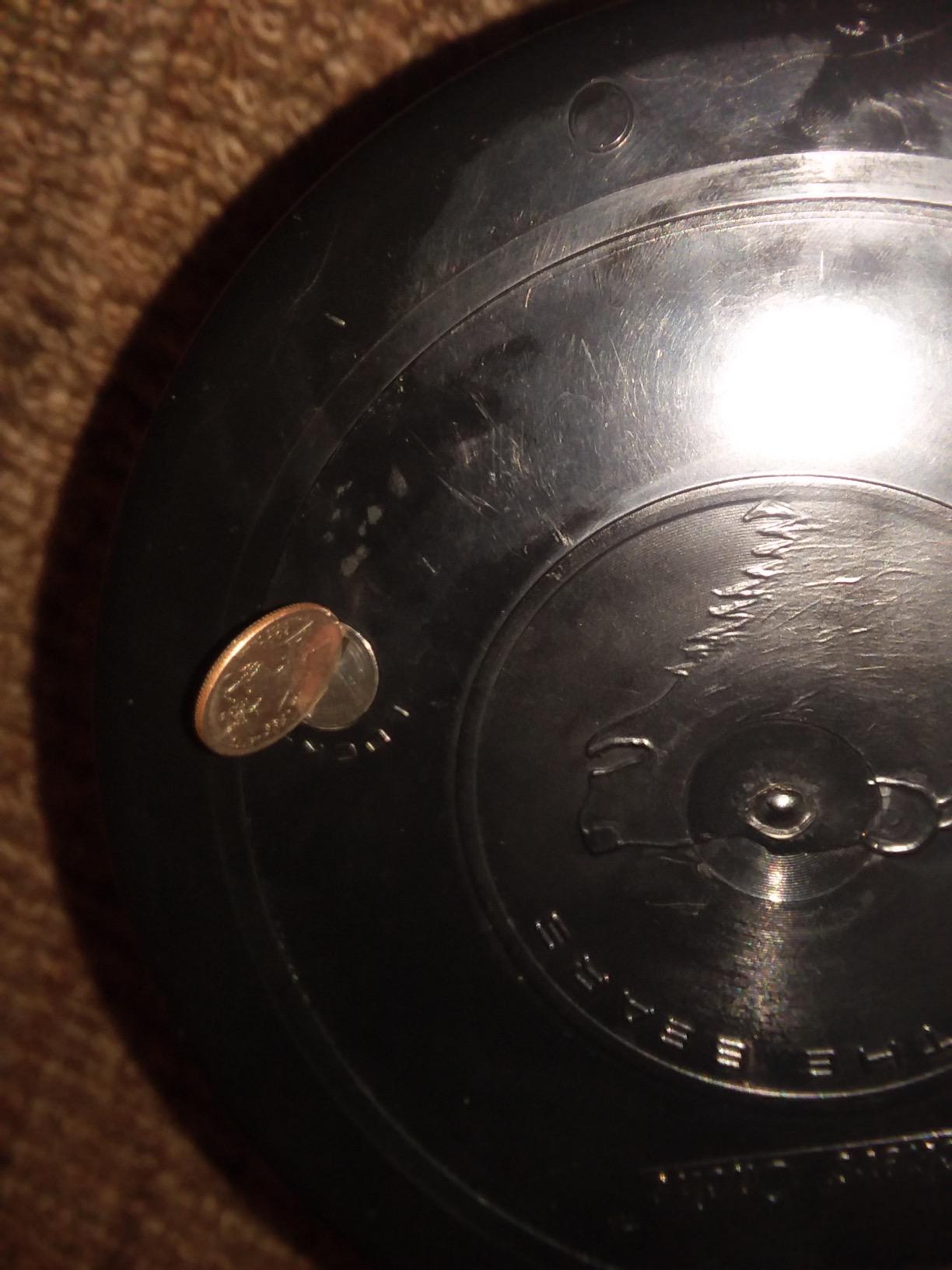 Backpackers' Cache - Bear Proof Container customer photo 2