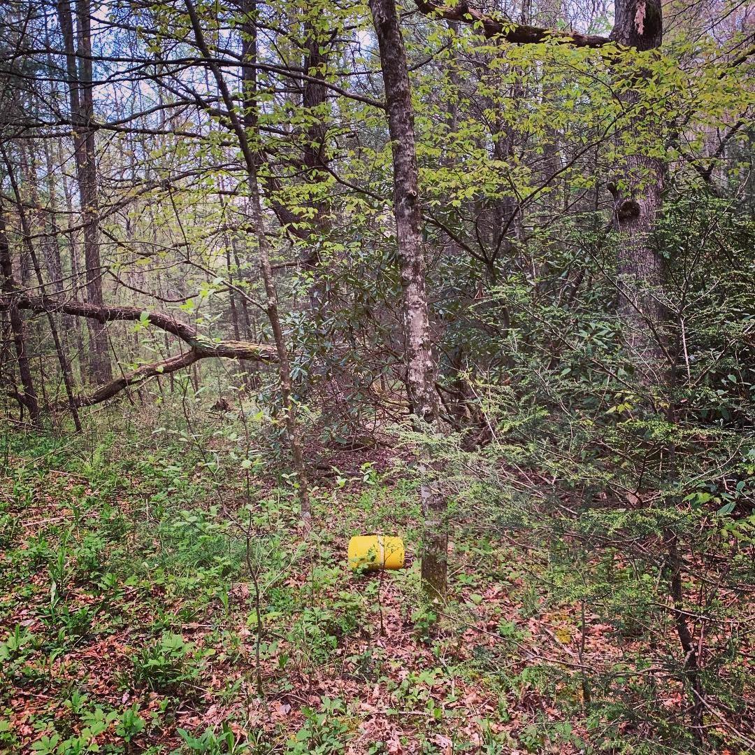 Counter Assault Bear Keg Food Storage Container Yellow customer photo 2