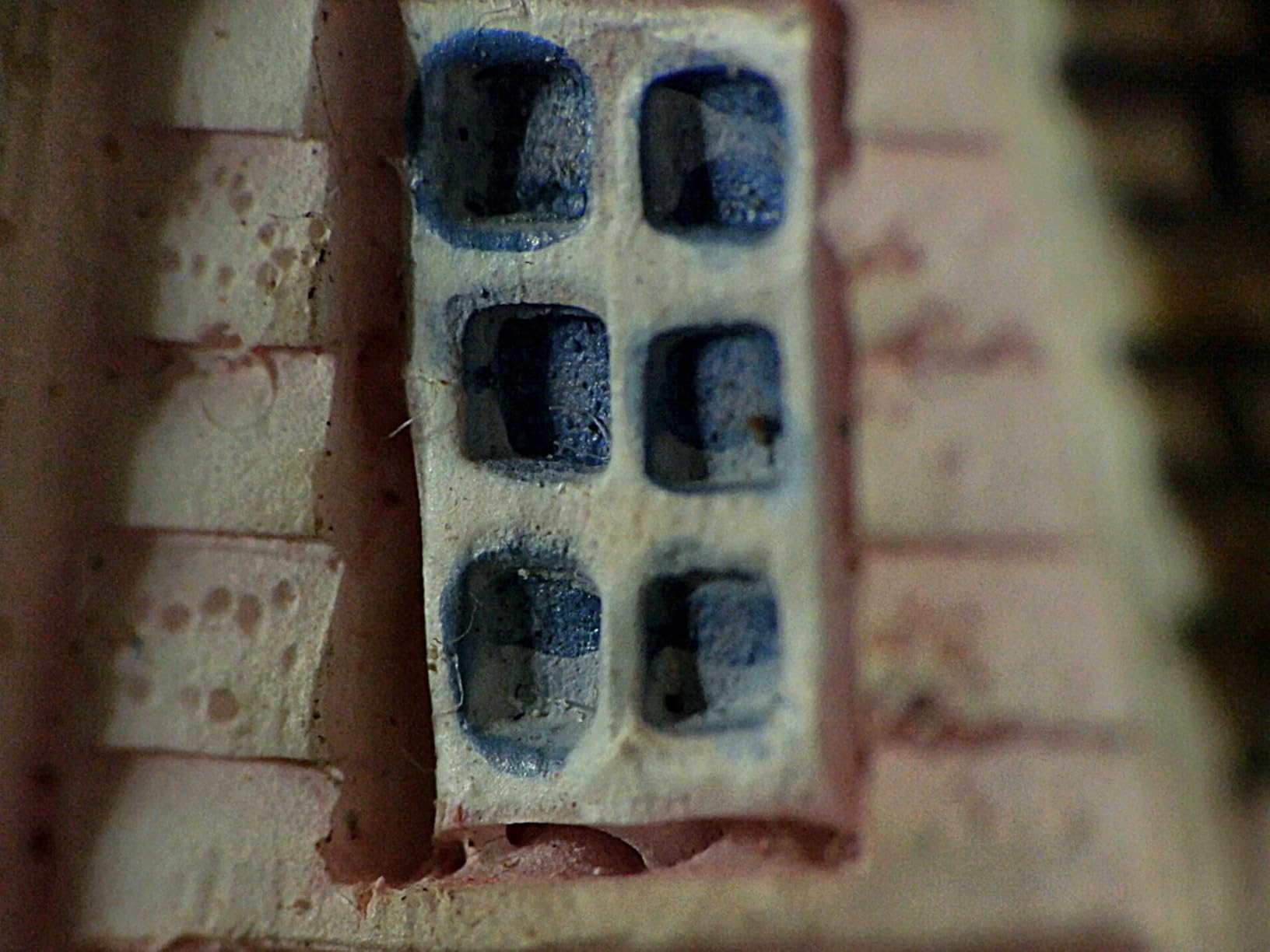 Raynox DCR-250 Super Macro Snap-On Lens customer photo 2