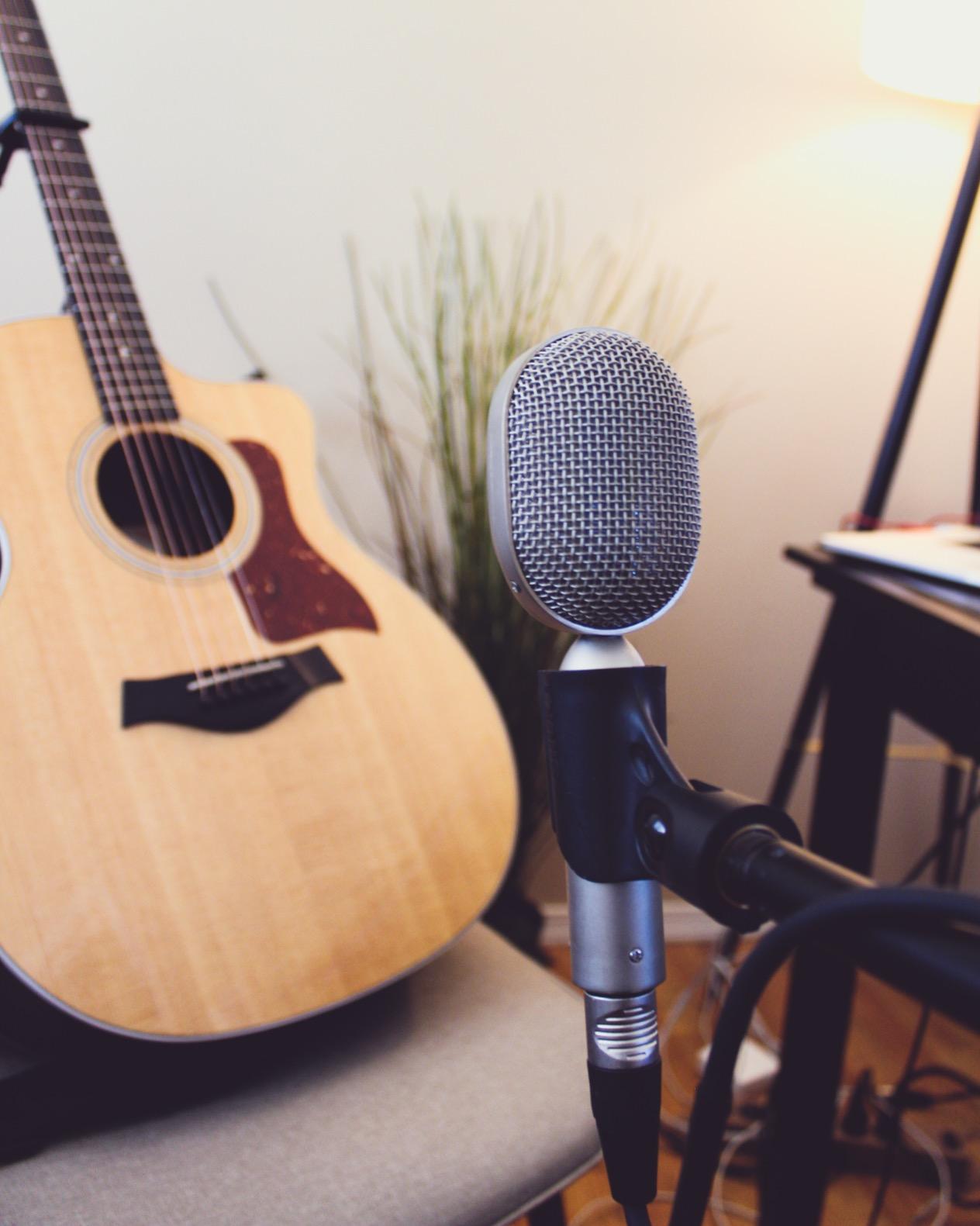 Nady RSM-5 Ribbon Microphone - Unique compact shape perfect for close miking, includes microphone clip and soft cloth pouch customer photo 1