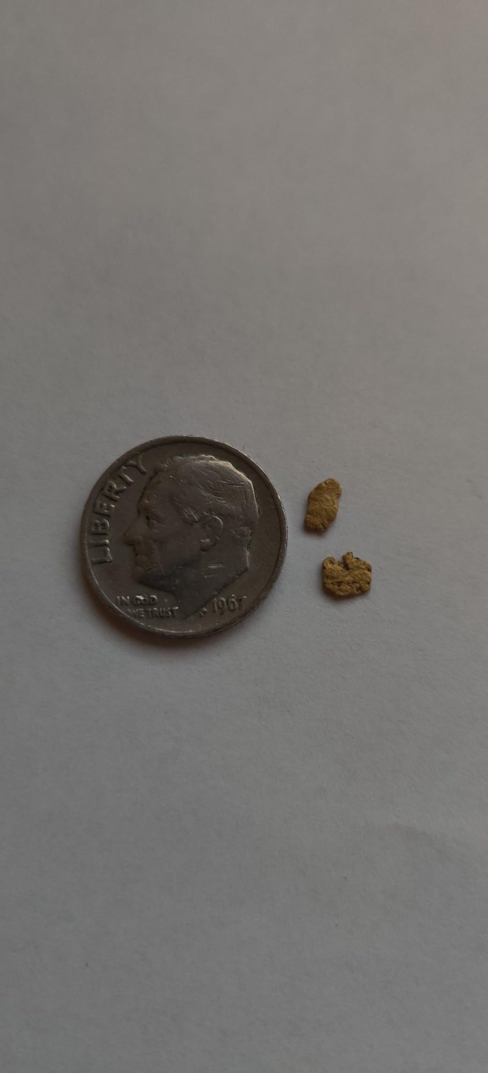 Fisher Gold Bug 2 Metal Detector with 10.5