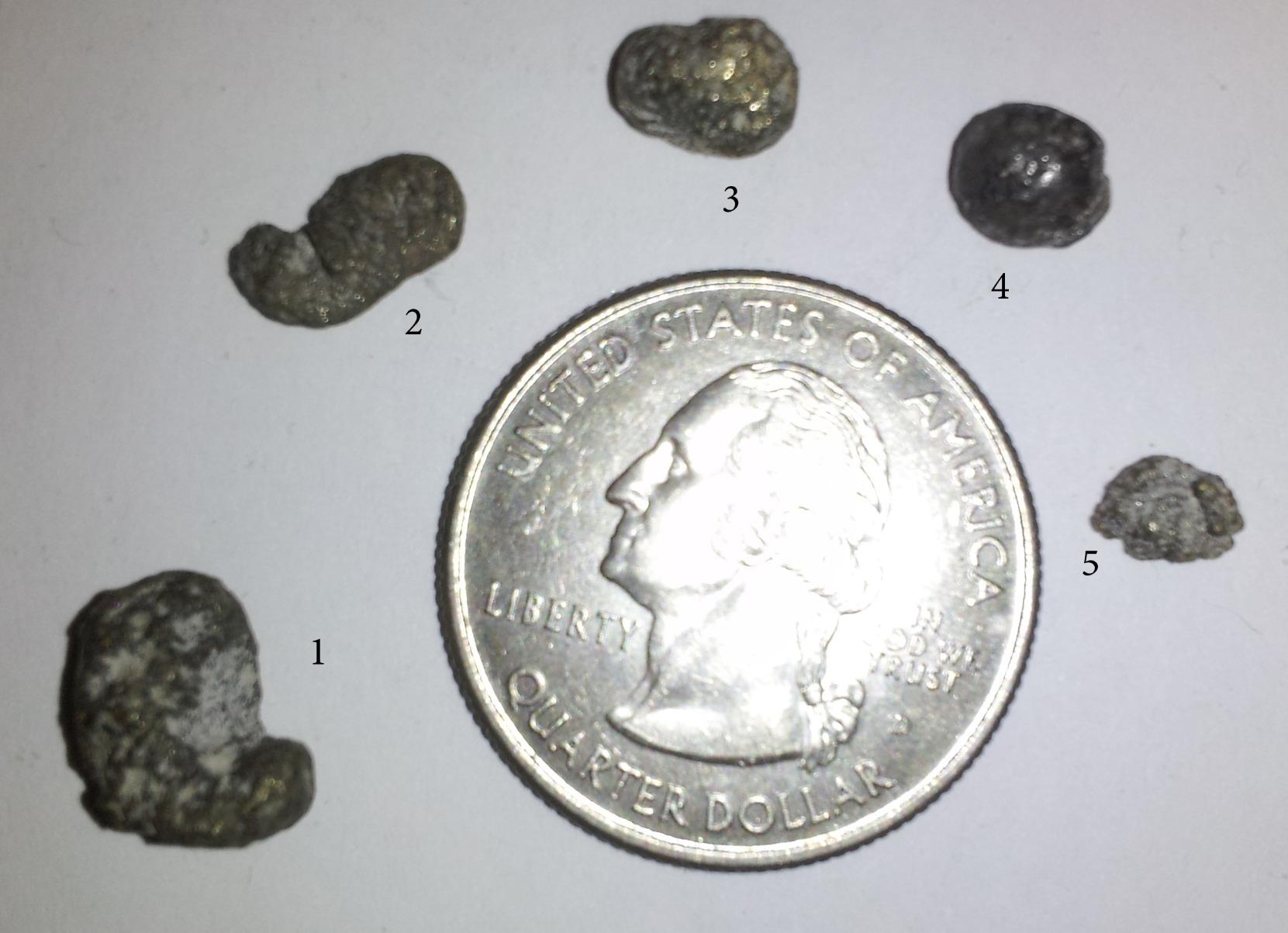 Fisher Gold Bug 2 Metal Detector with 10.5