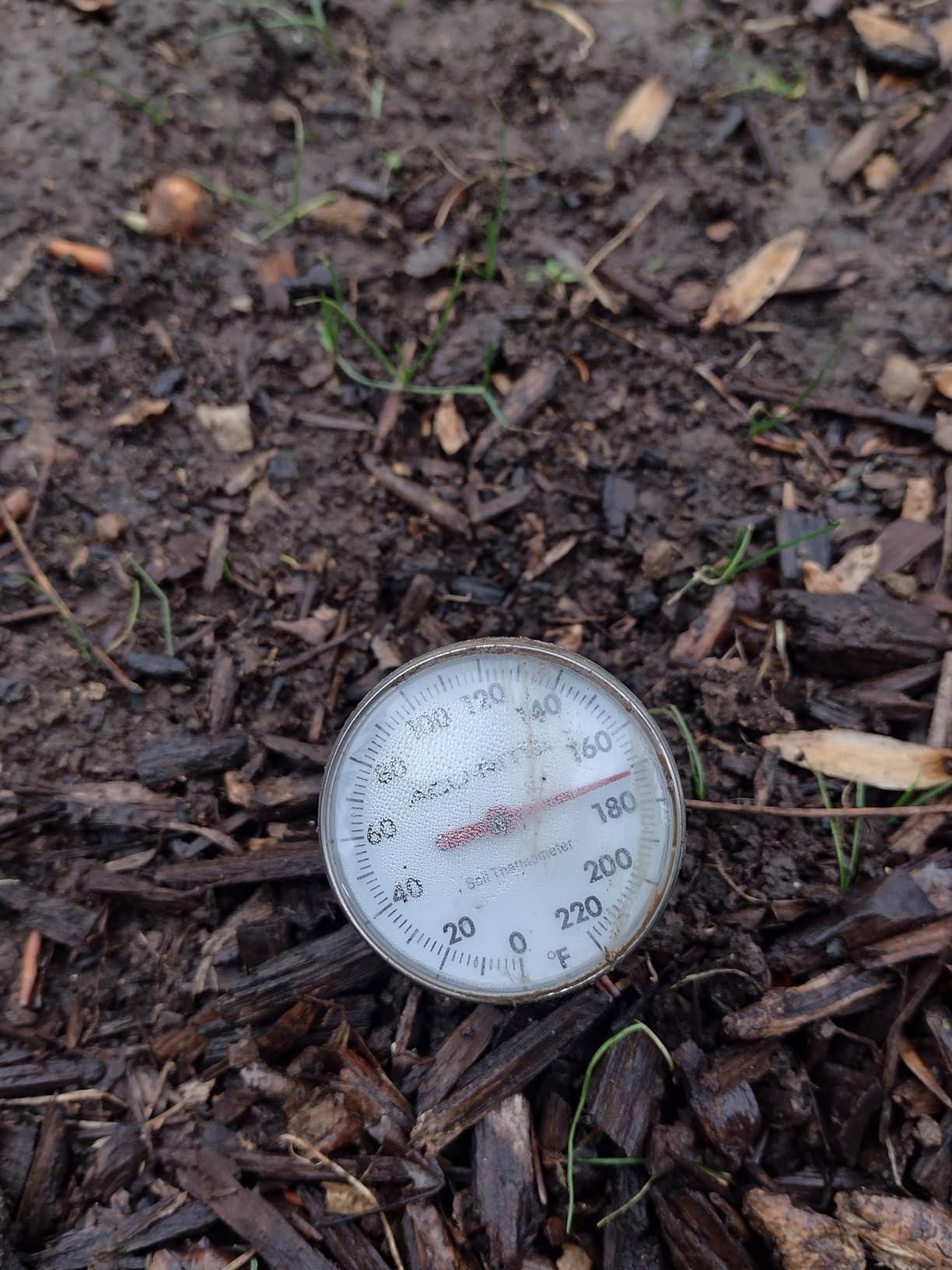 AcuRite 00661 Stainless Steel Soil Thermometer customer photo 2