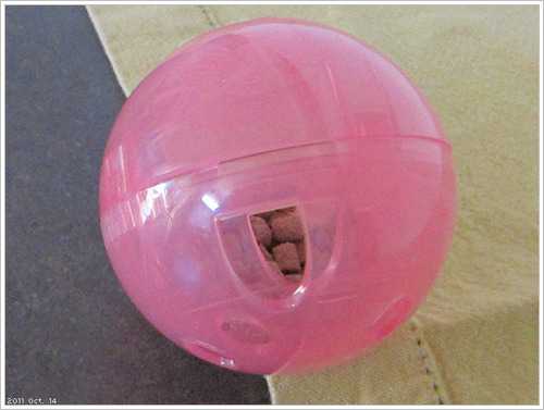 PetSafe SlimCat Interactive Feeder - Combines Play with Mealtime - Adjustable Portions - BPA-Free Plastic - Slow Feeder for Digestion customer photo 2