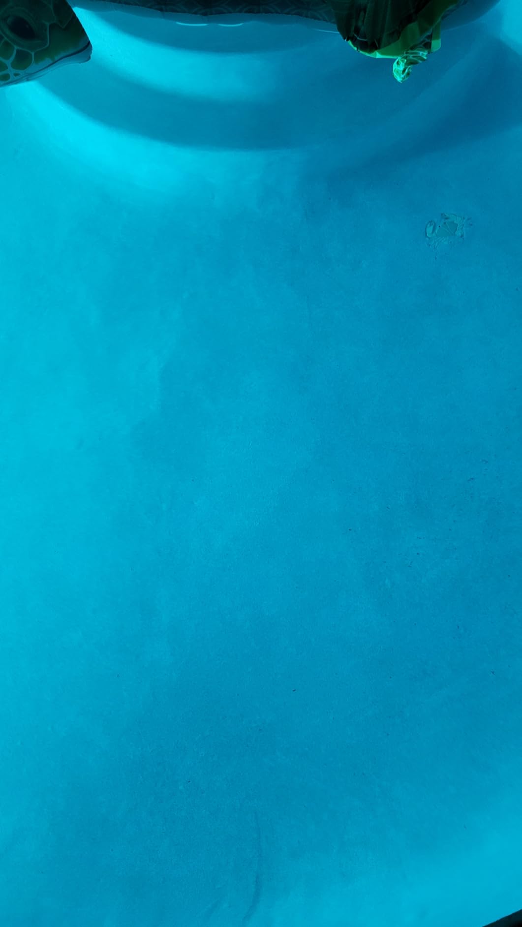 Taylor K2005 High Range Swimming Pool Total and Free Chlorine Bromine Alkalinity Calcium Hardness Base and Acid Demand pH DP Test Kit customer photo 1