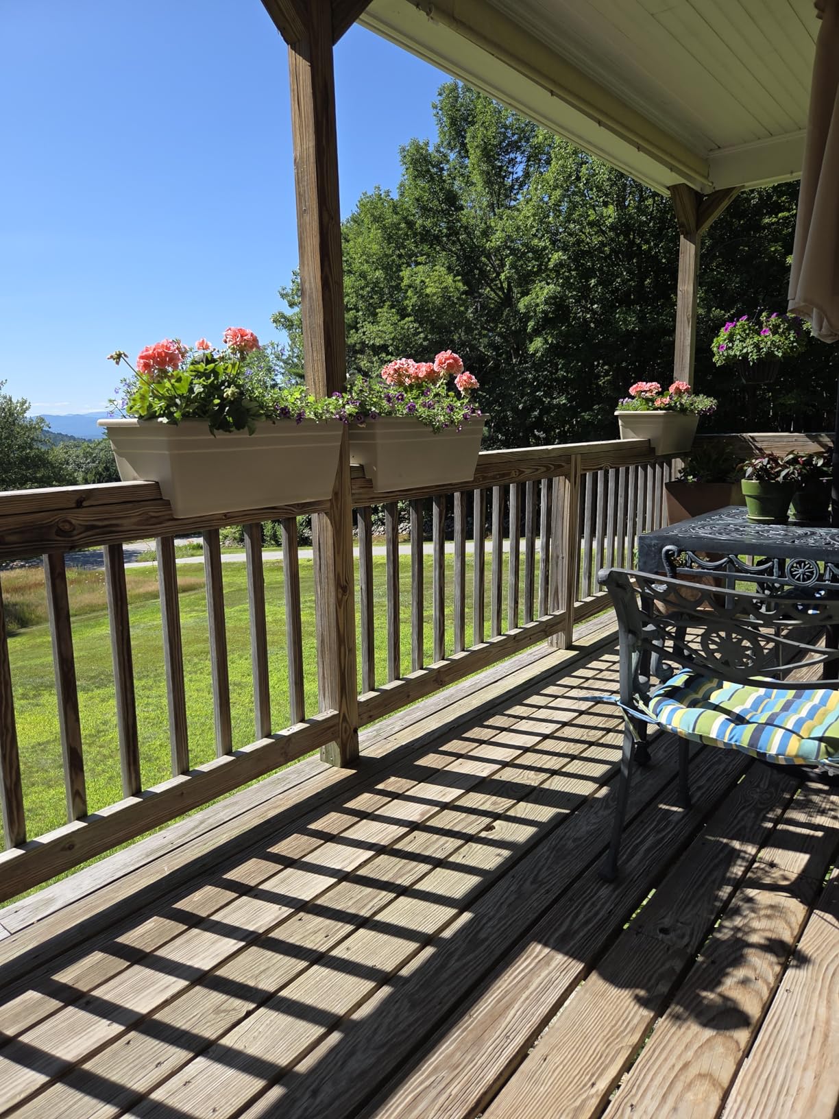 Bonide Repels-All Animal Repellent, 32 oz Ready-to-Use Spray, Outdoor Garden Deer & Rabbit Repellent, People & Pet Safe customer photo 1