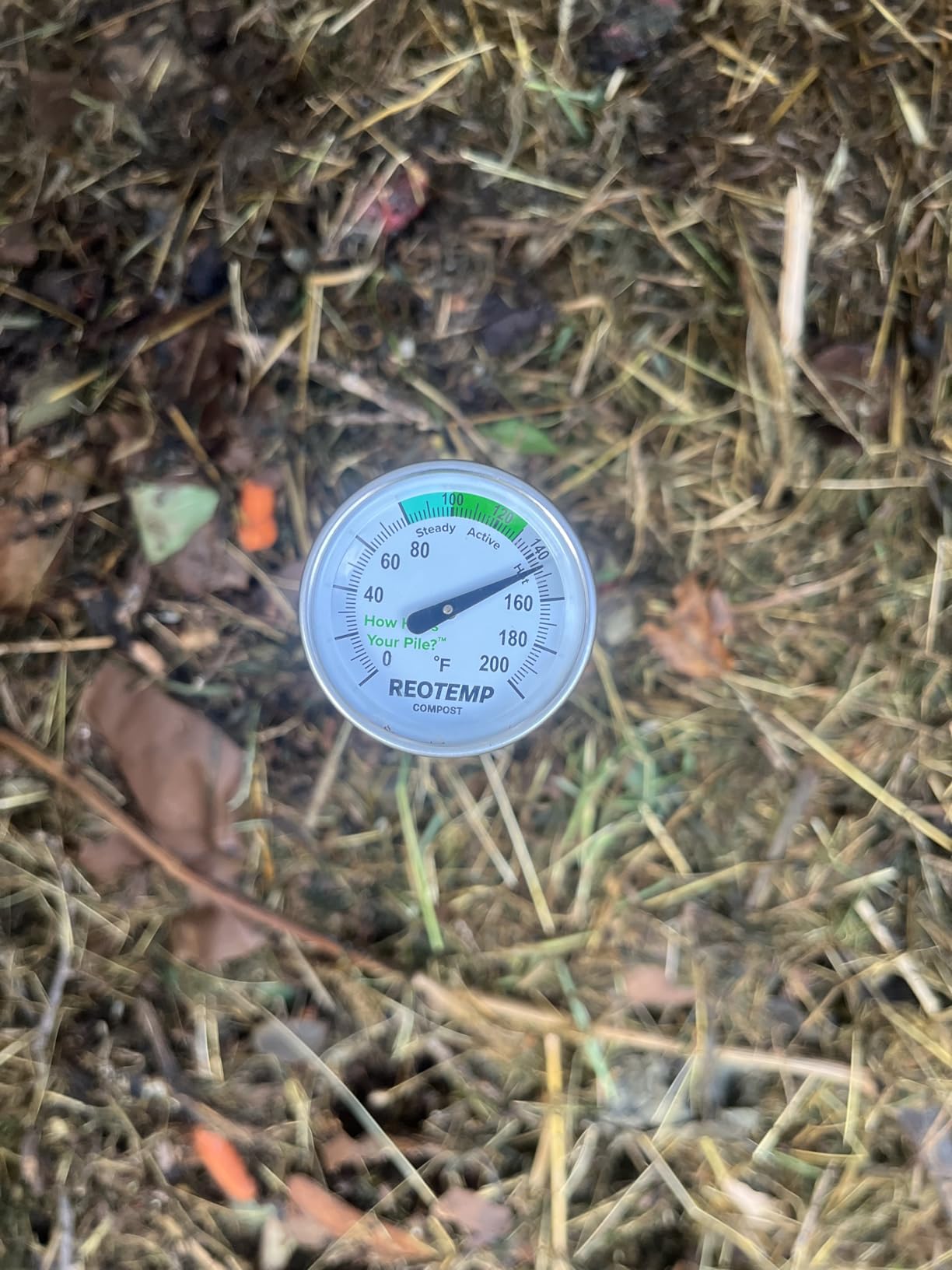 Reotemp 20 Inch Fahrenheit Backyard Compost Thermometer with Digital Composting Guide customer photo 1