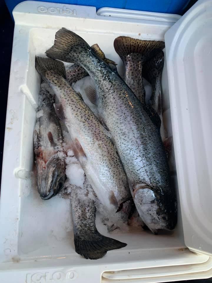 Vexilar FL-8se Genz Pack with 19 Degree Ice Flasher customer photo 1