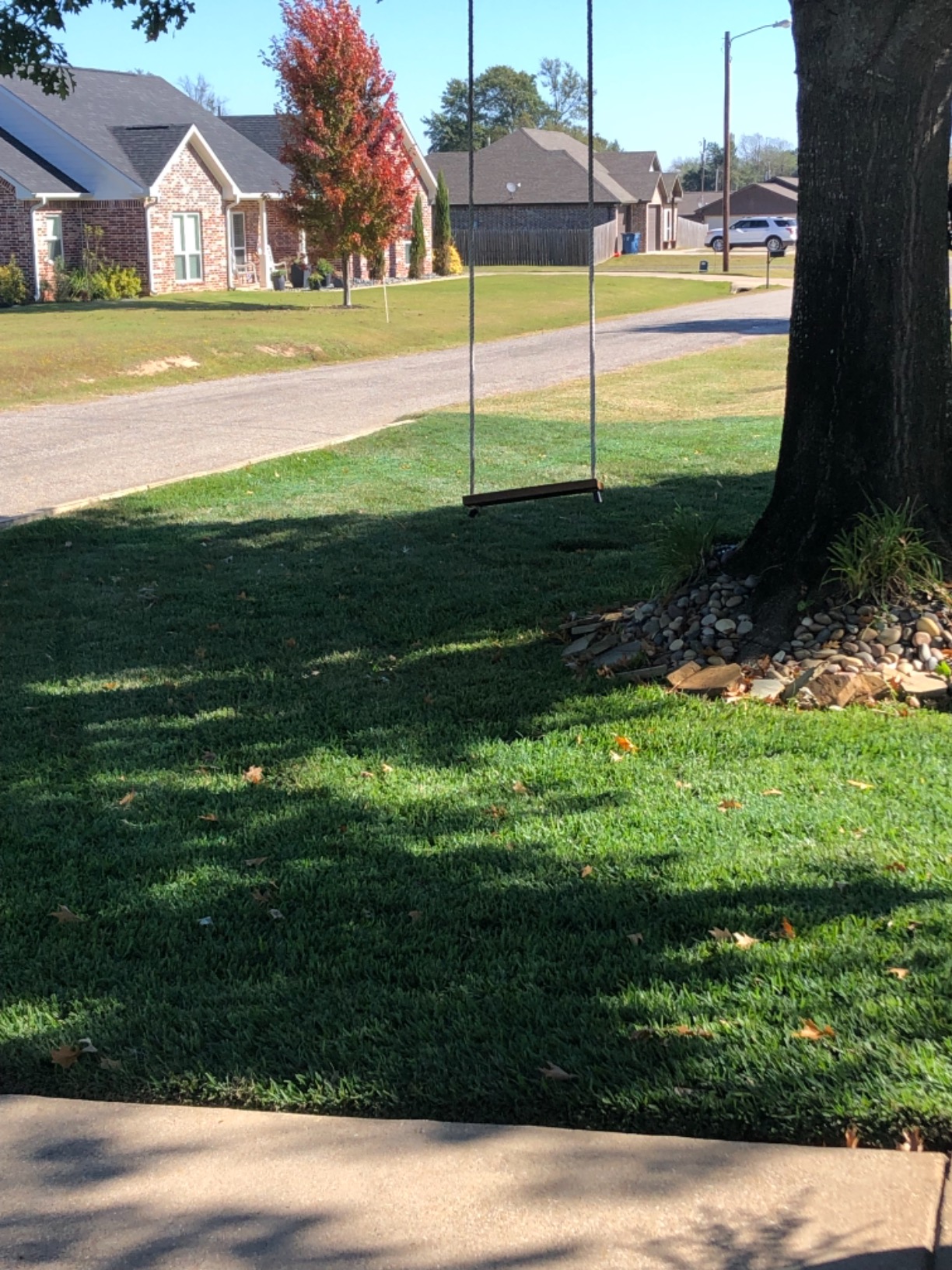 Taylor Soil Testing Thermometer, Gardening Tool for Plant Care, Gardening, Lawn, Farm, Outdoor Use, 4