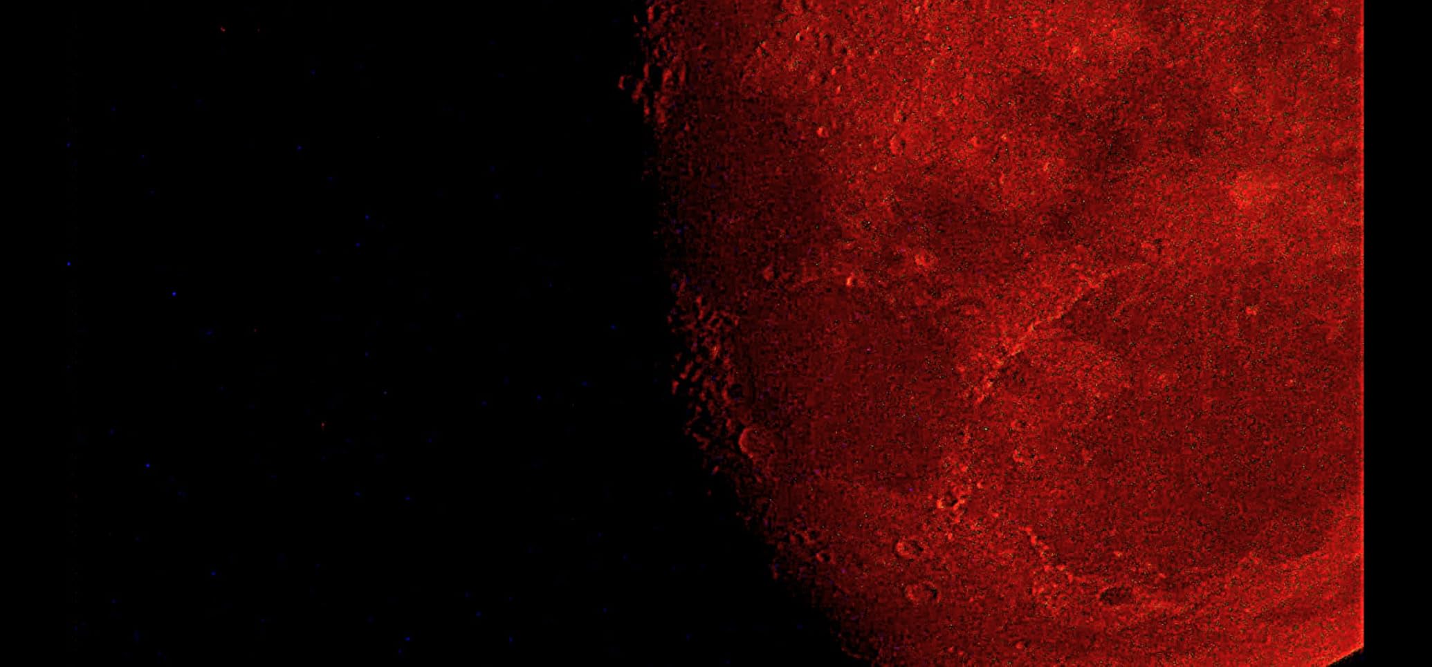 Celestron - 114LCM Computerized Newtonian Telescope - Telescopes for Beginners - 2 Eyepieces - Full-Height Tripod - Motorized Altazimuth Mount - Large 114mm Newtonian Reflector customer photo 1