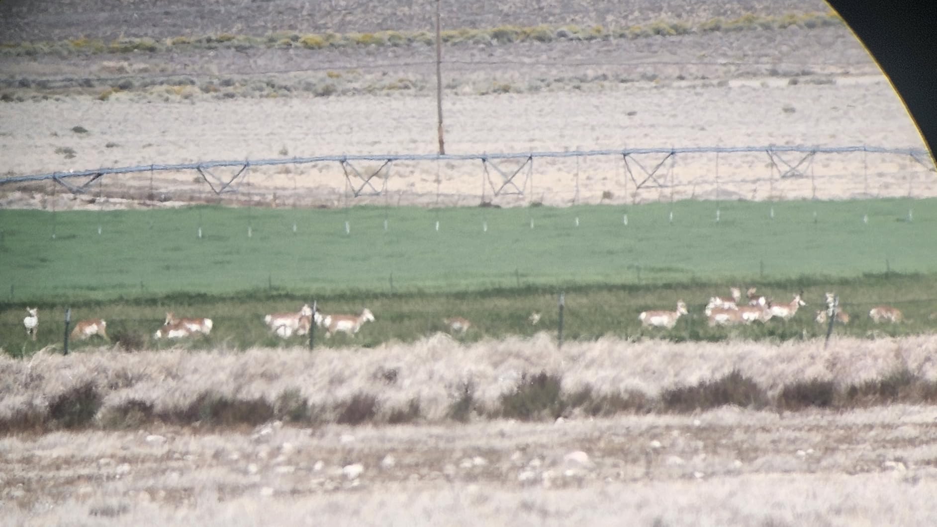 Vortex Optics Viper HD Spotting Scopes customer photo 1