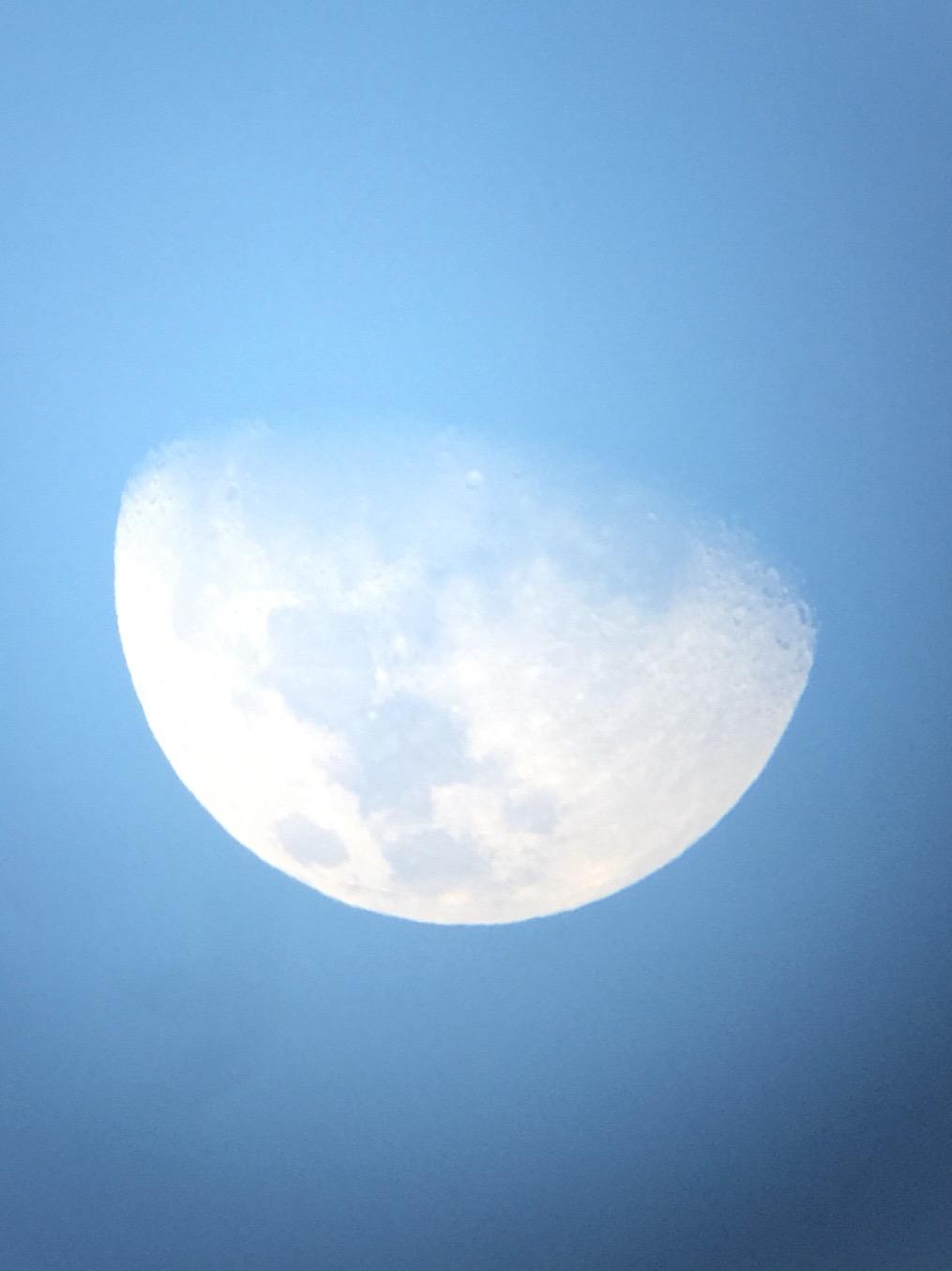 Sky-Watcher Flextube 200 Dobsonian 8-inch Collapsible Large Aperture Telescope - Portable, Easy to use, Perfect for Beginners (S11700) customer photo 2