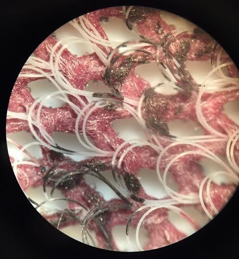 AmScope SE305R-PZ Forward Binocular Stereo Microscope, WF10x and WF20x Eyepieces, 10X-60X Magnification, 1X and 3X Objectives, Upper and Lower Halogen Light Source, Pillar Stand, 120V , White customer photo 2