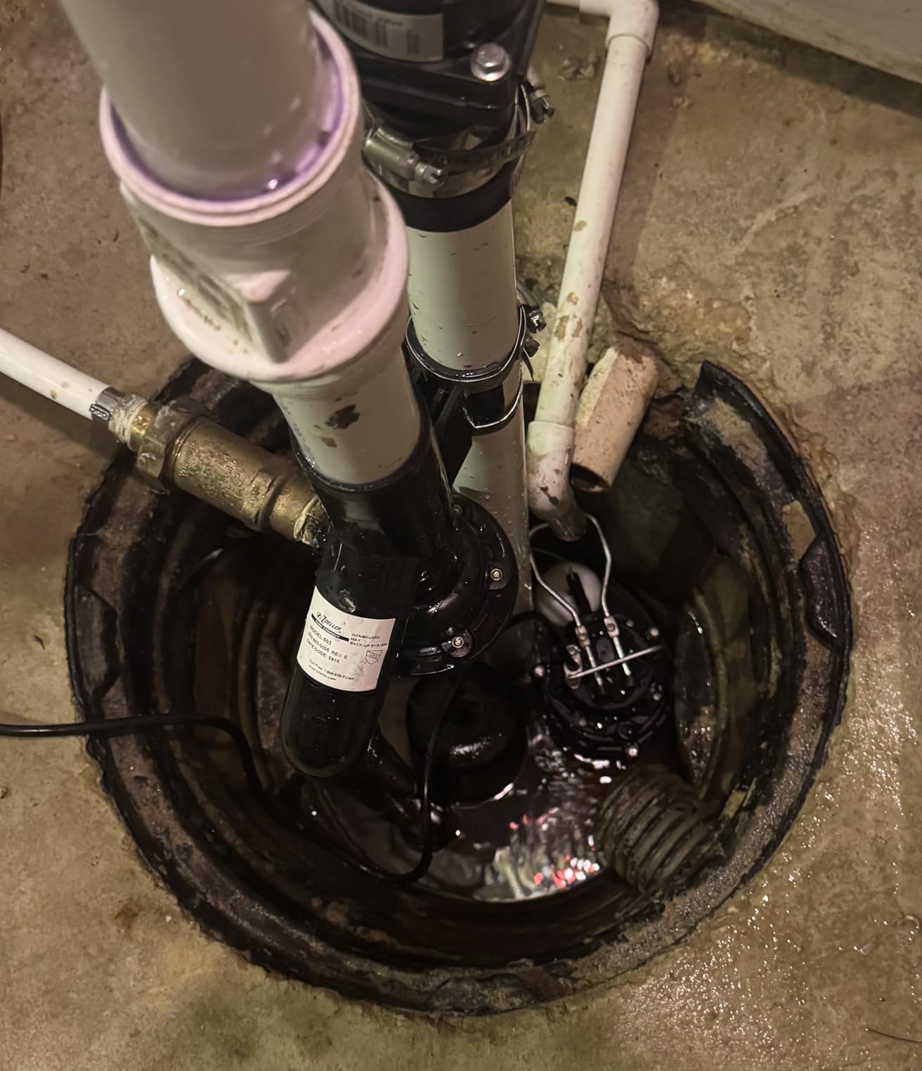 WAYNE CDU980E 3/4 HP Submersible Sump Pump - Cast Iron & Stainless Steel, Vertical Float Switch, 5,490 GPH, 5-Year Warranty customer photo 1