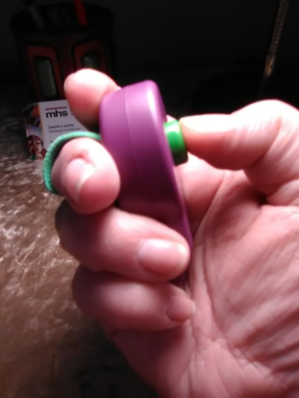 PetSafe Clik-R Training Tool - Positive Behavior Reinforcement - Ergonomic Design - Compact Finger Band - Daily Training Accessory - Clicker for Dogs & Cats - Purple customer photo 1