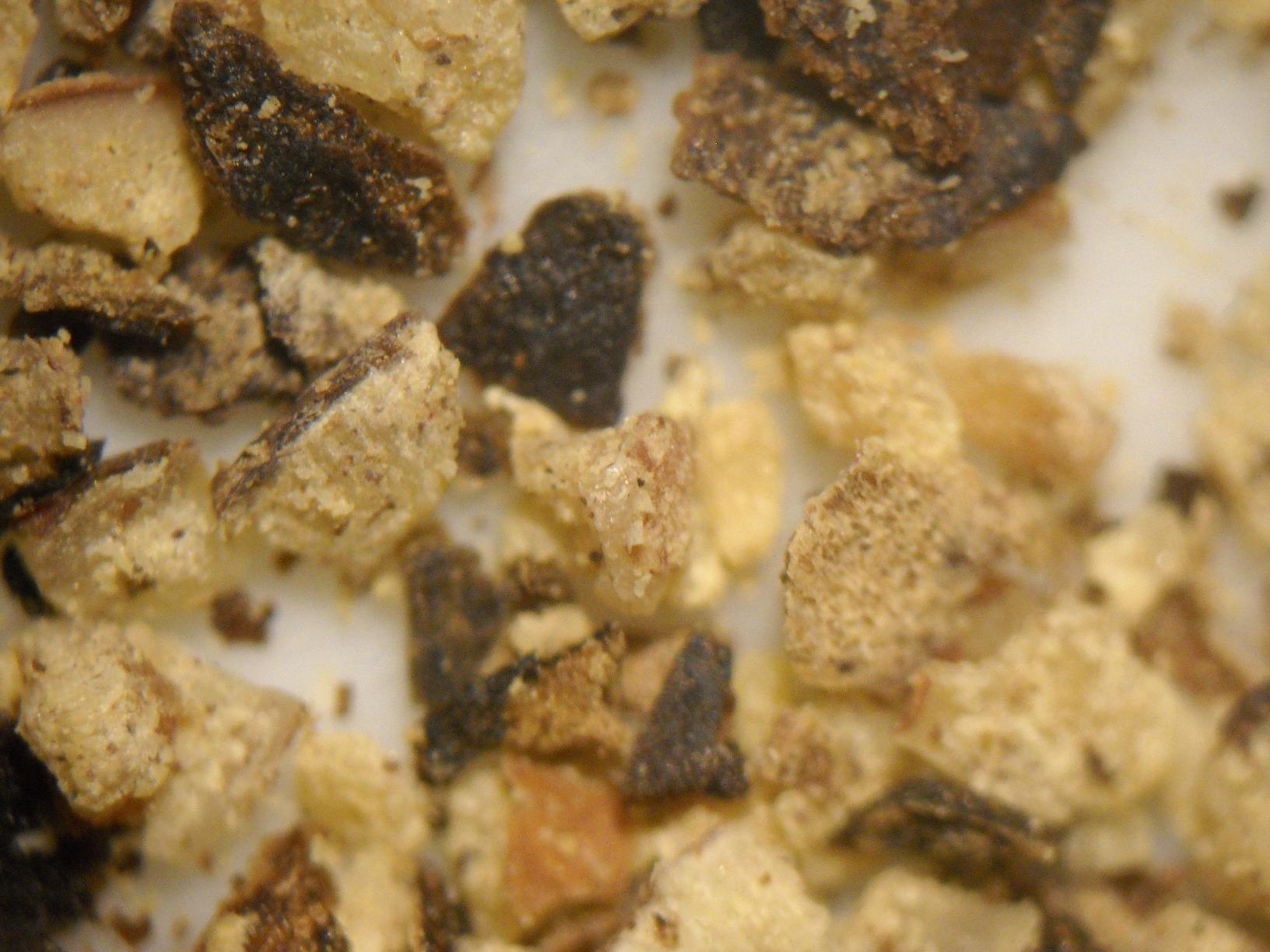 AmScope SE306R-PZ Forward Binocular Stereo Microscope, WF10x and WF20x Eyepieces, 10X-80X Magnification, 2X and 4X Objectives, Upper and Lower Halogen Light Source, Pillar Stand, 120V , White customer photo 2