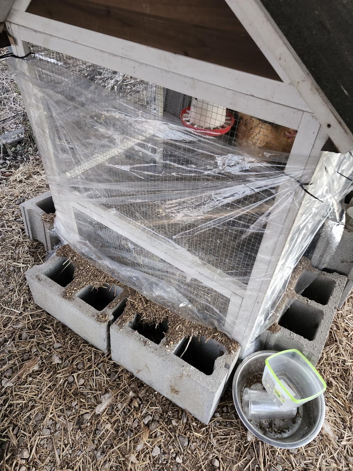 Farm Innovators Heated Waterer with Lid, 60W Hanging Water Dispenser - 2 Gallon Poultry Drinker Bucket with Red Top for Chickens, Turkeys, and Geese customer photo 1