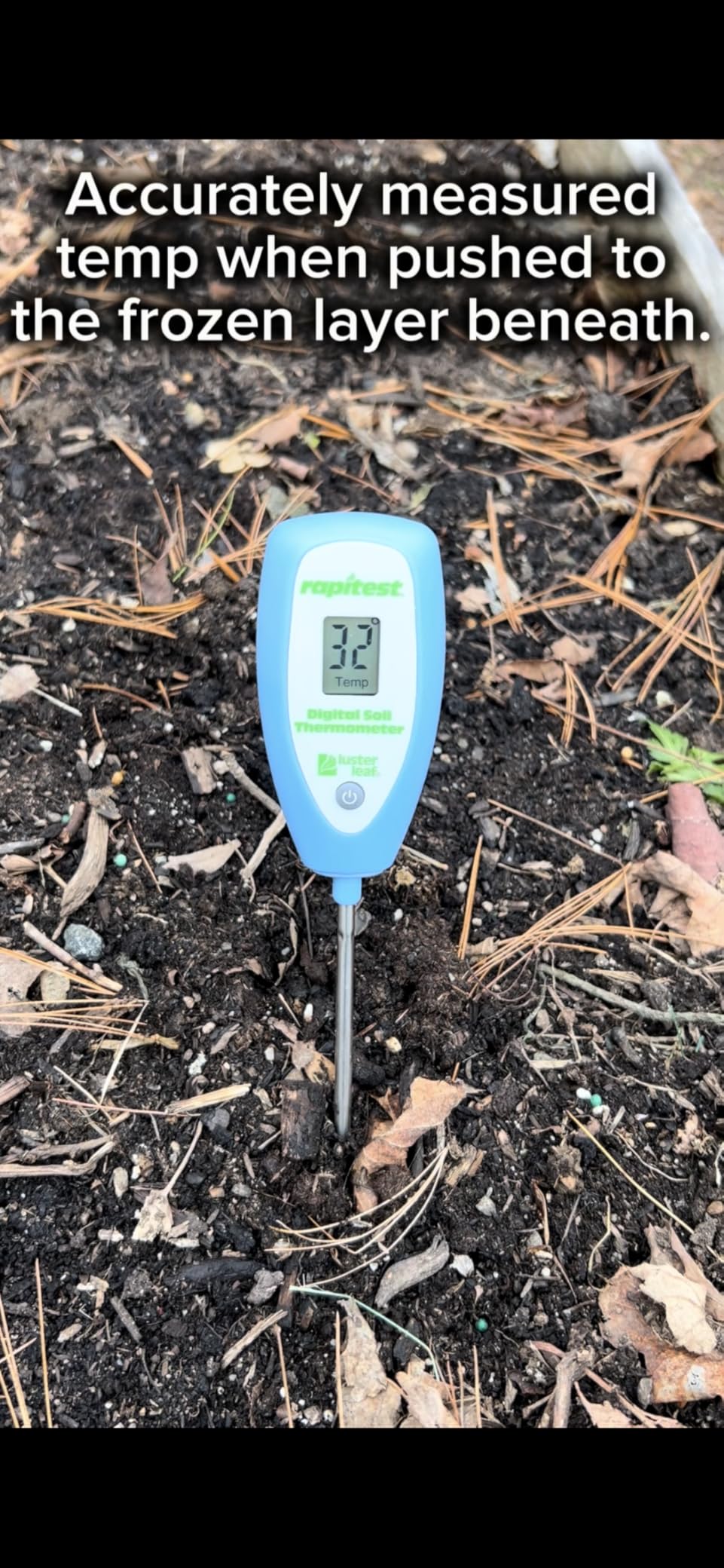 Luster Leaf 1625 Digital Soil Thermometer customer photo 2