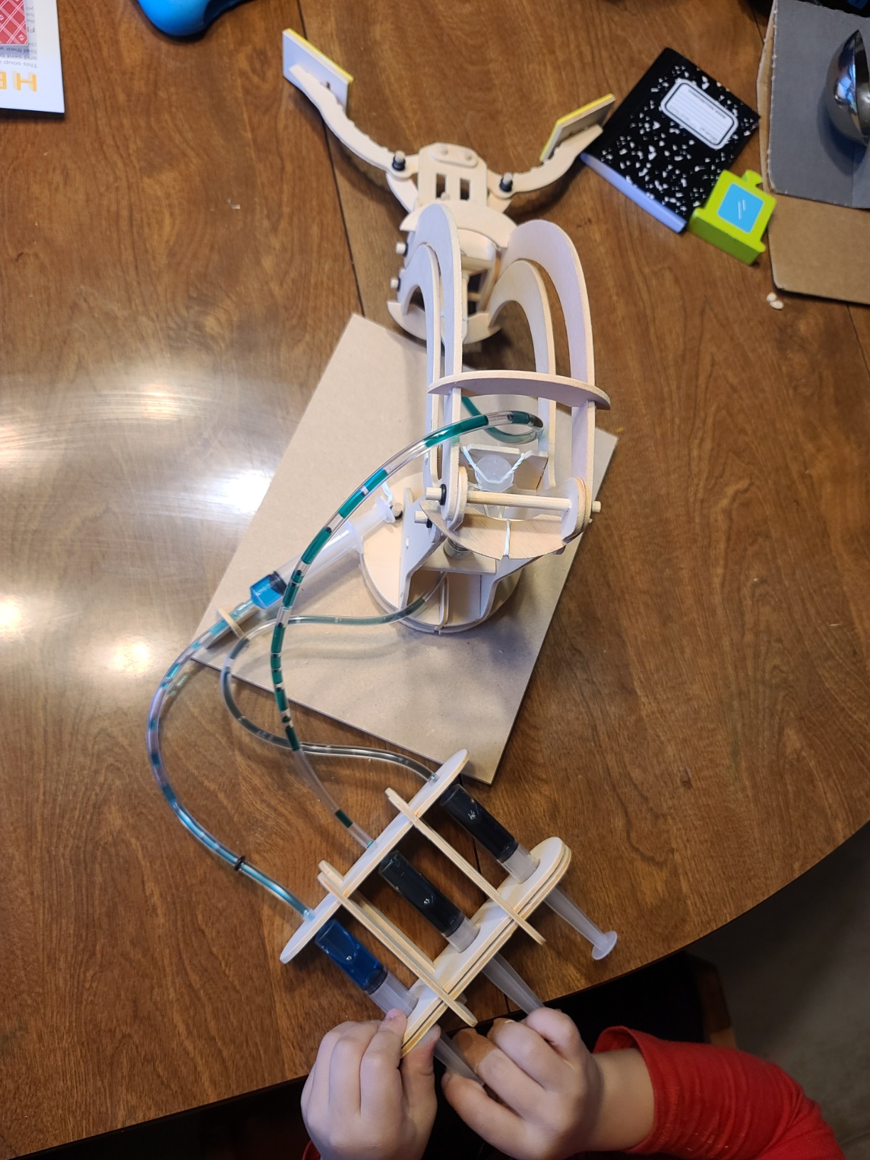 PATHFINDERS STEM Kit - Hydraulic Robotic Arm | Wooden Building Kit for Kids Ages 8-12 | Mechanical Engineering Toy | Hands-On STEM Project for Boys & Girls customer photo 2