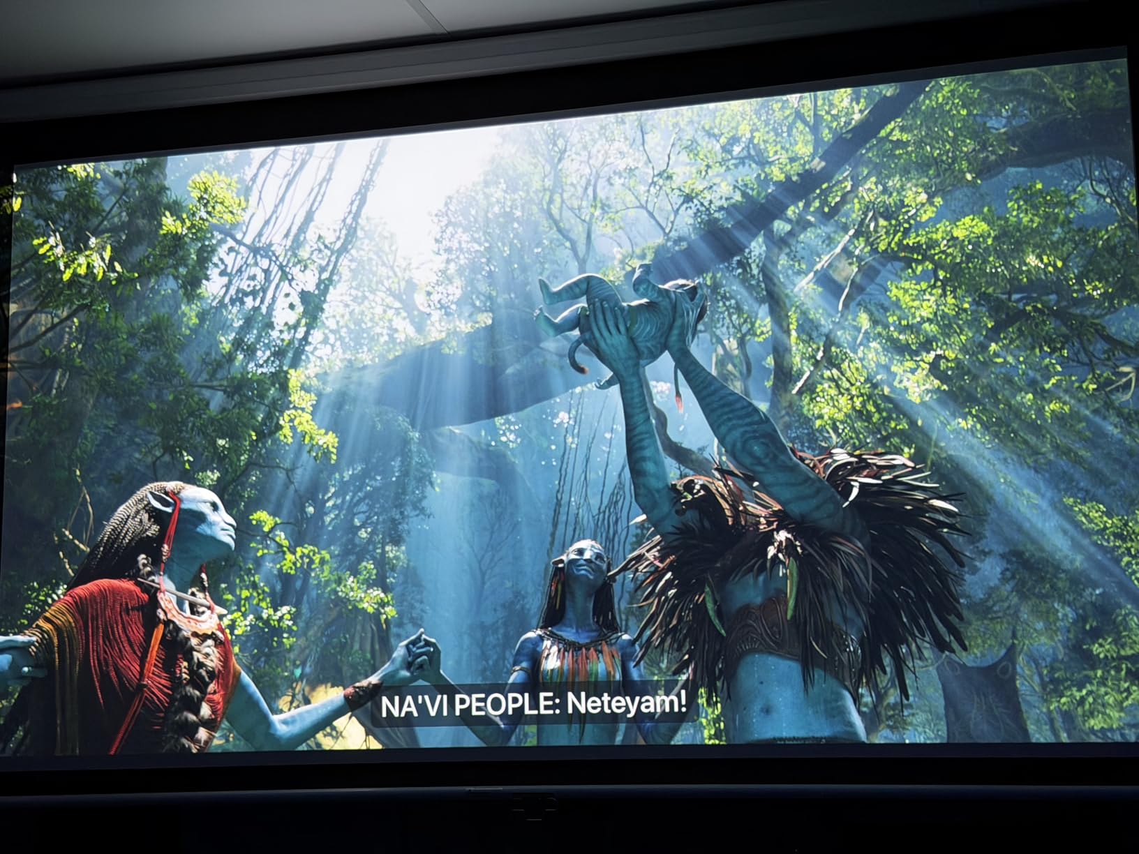 Elite Screens Manual B, 100-INCH Manual Pull Down Projector Screen Diagonal 16:9 Diag 4K 8K 3D Ultra HDR HD Ready Home Theater Movie Office Presentation, M100H customer photo 2