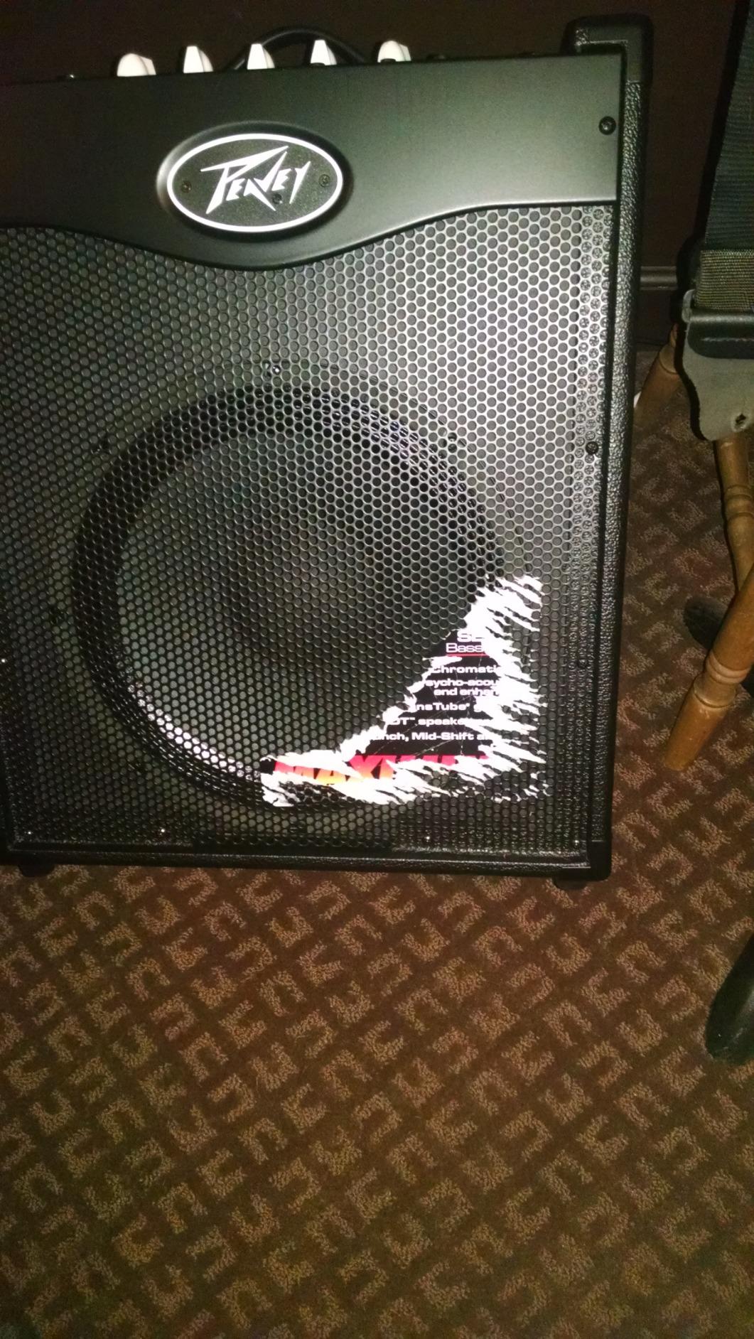 Peavey MAX 158 20-Watt Bass Amp Combo customer photo 2