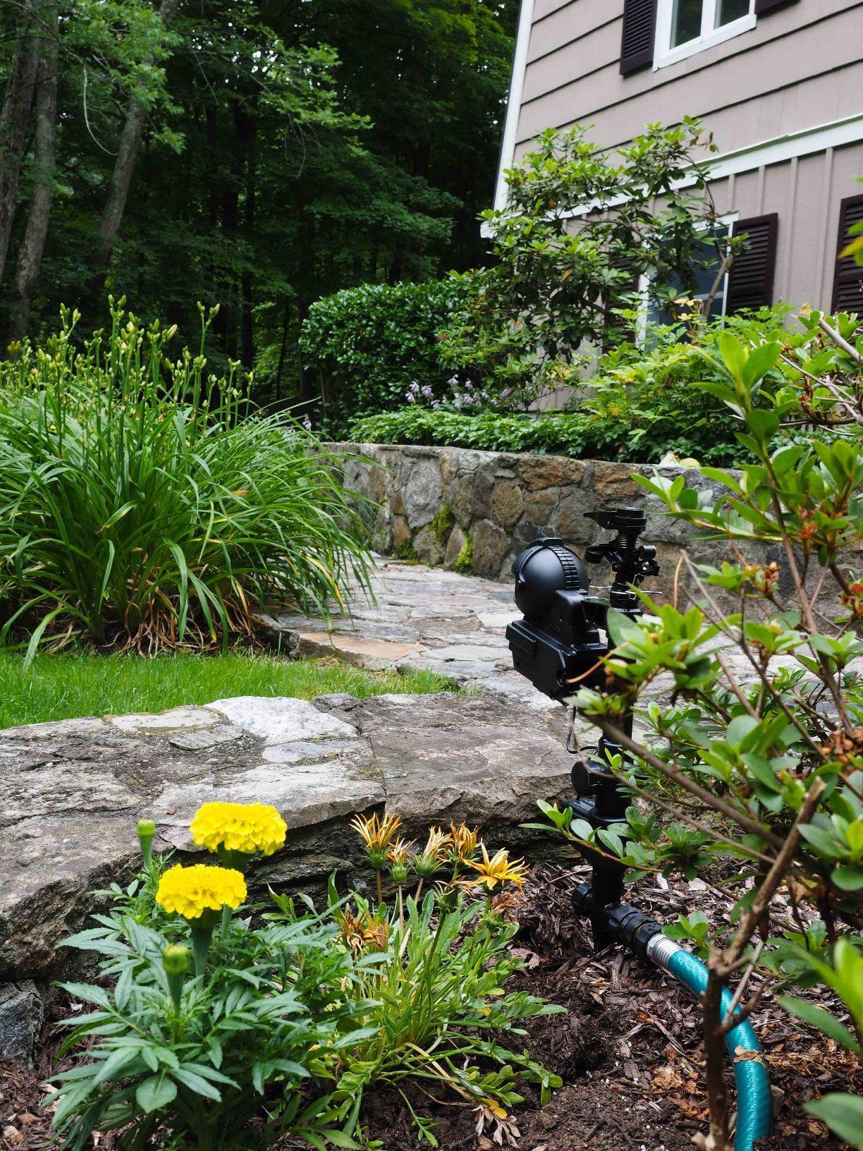 Orbit 62100 Yard Enforcer Motion-Activated Sprinkler customer photo 1