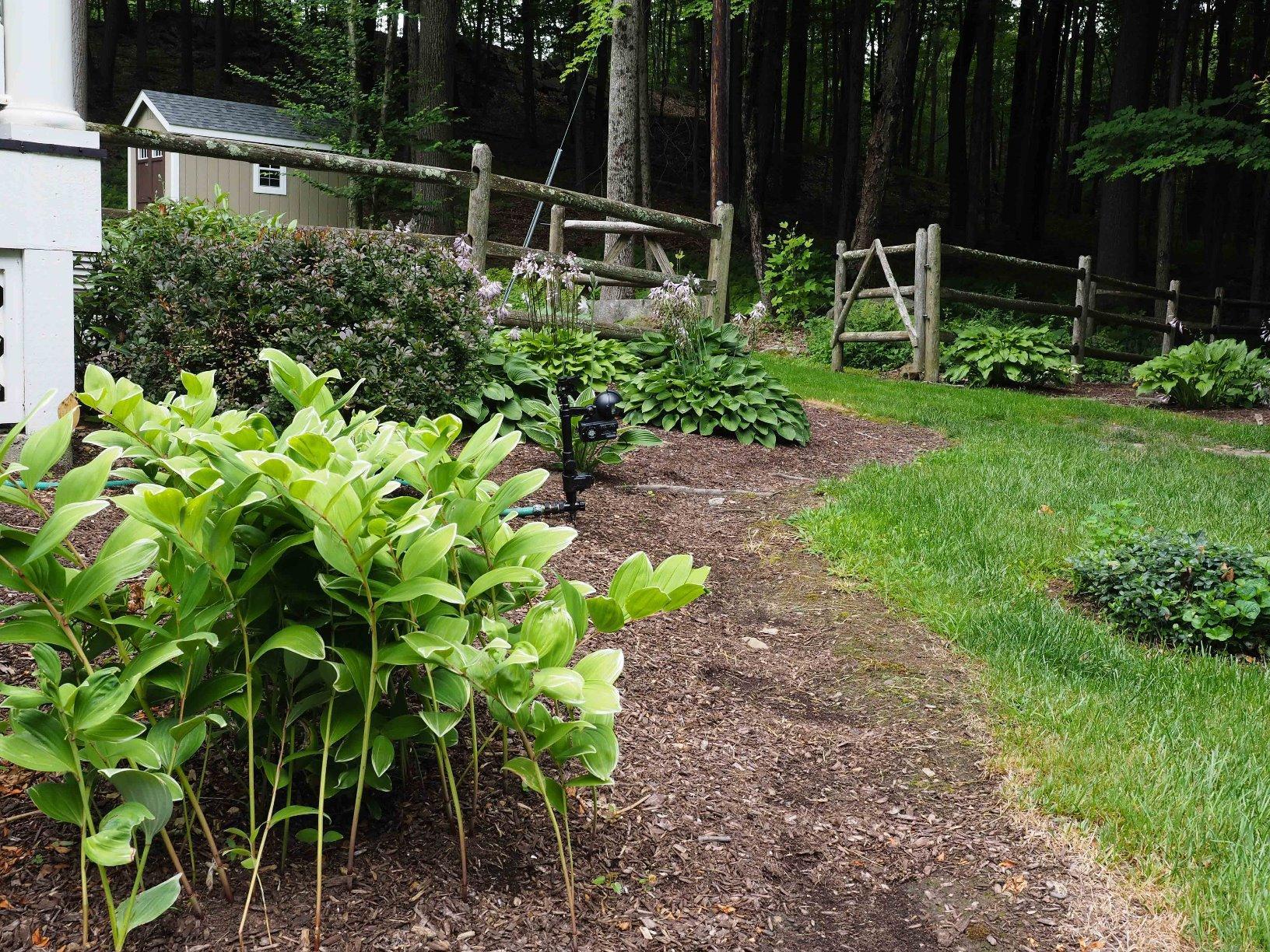 Orbit 62100 Yard Enforcer Motion-Activated Sprinkler customer photo 2