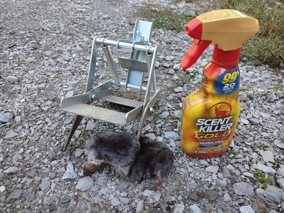 Wildlife Research Center Scent Killer Gold Spray & Refill (44 FL OZ) - Hunting Scent Eliminator with Hunt Dry Technology - Odor Prevention & Maximum Performance After Drying - Scent Control for Deer customer photo 1