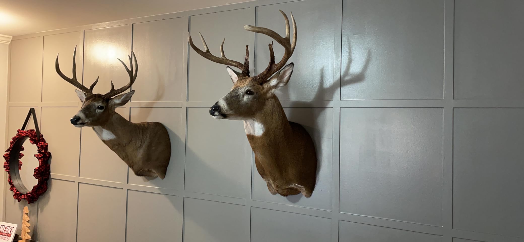 Wildlife Research Center Scent Killer Gold Spray & Refill (44 FL OZ) - Hunting Scent Eliminator with Hunt Dry Technology - Odor Prevention & Maximum Performance After Drying - Scent Control for Deer customer photo 2