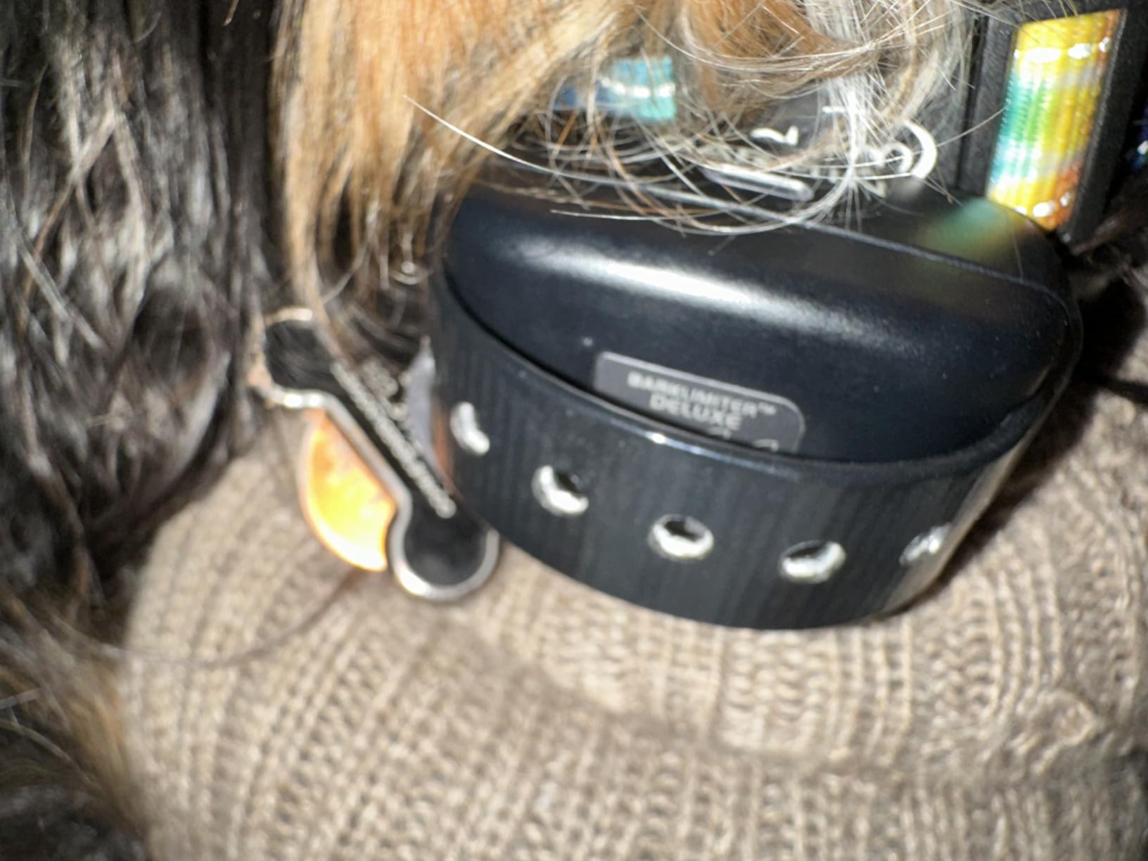 Garmin BarkLimiter Deluxe, Rechargeable Dog Training Collar with Automatic Levels for All Dog Breeds customer photo 2