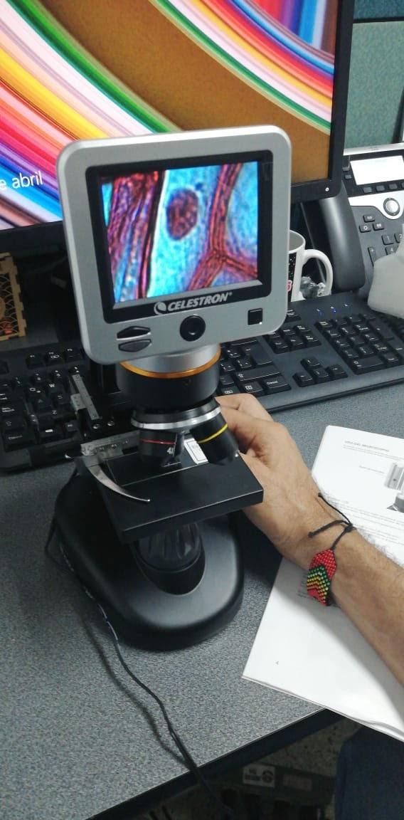 Celestron LCD Digital Microscope II - 3.5