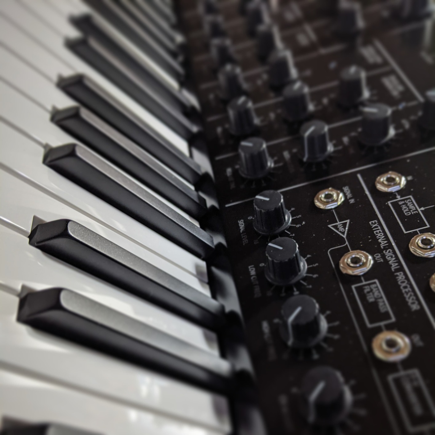 Korg MS20 Mini Semi-Modular Analog Synthesizer (MS20MINI), MultiColored, M customer photo 1