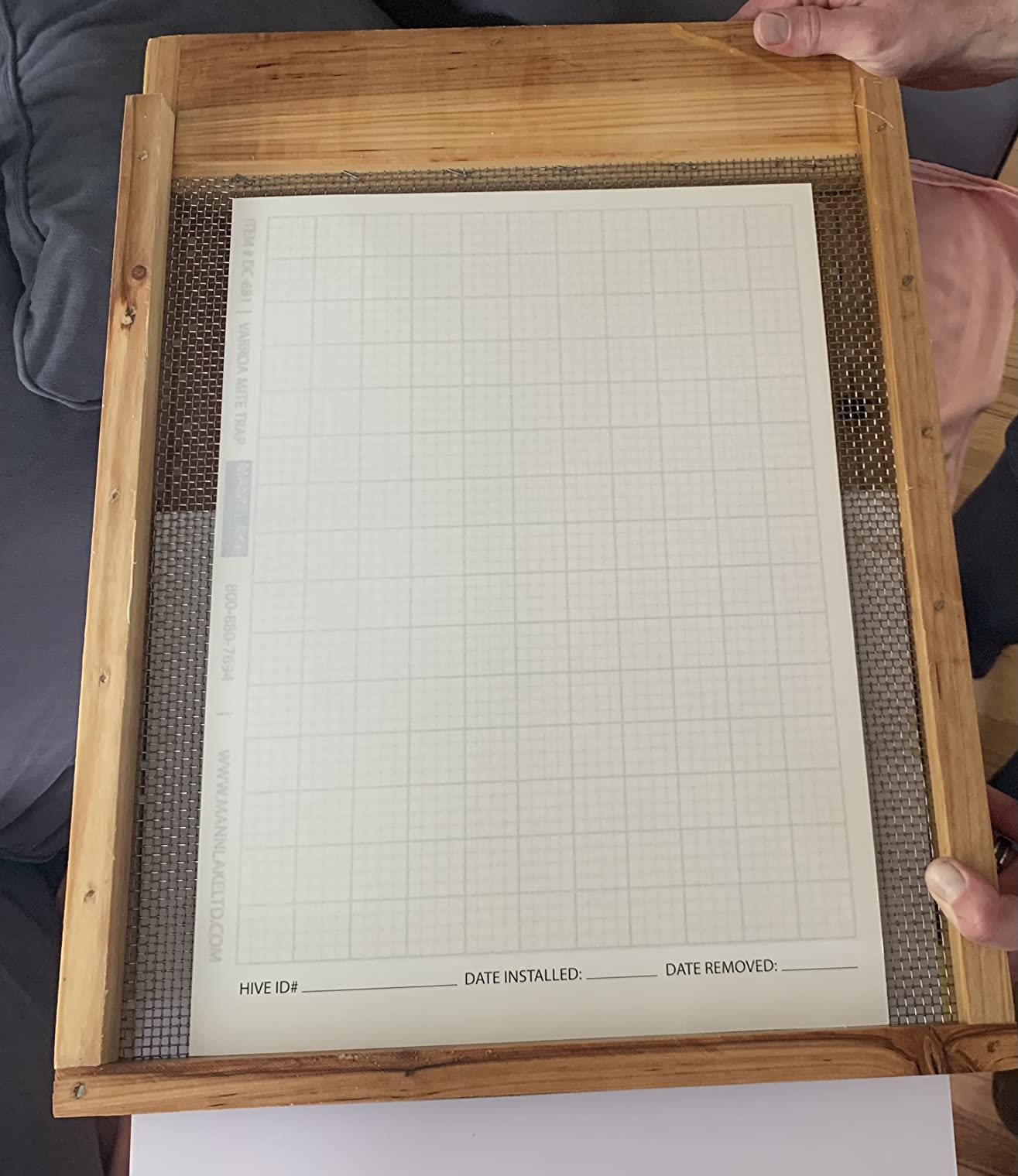 Mann Lake Mite Sticky Board, Precision Mite Monitoring for Hives, Results After 24 Hours, Chemical-Free Treatment Guidance, Seasonal Effectiveness, Beekeeping Essentials customer photo 1