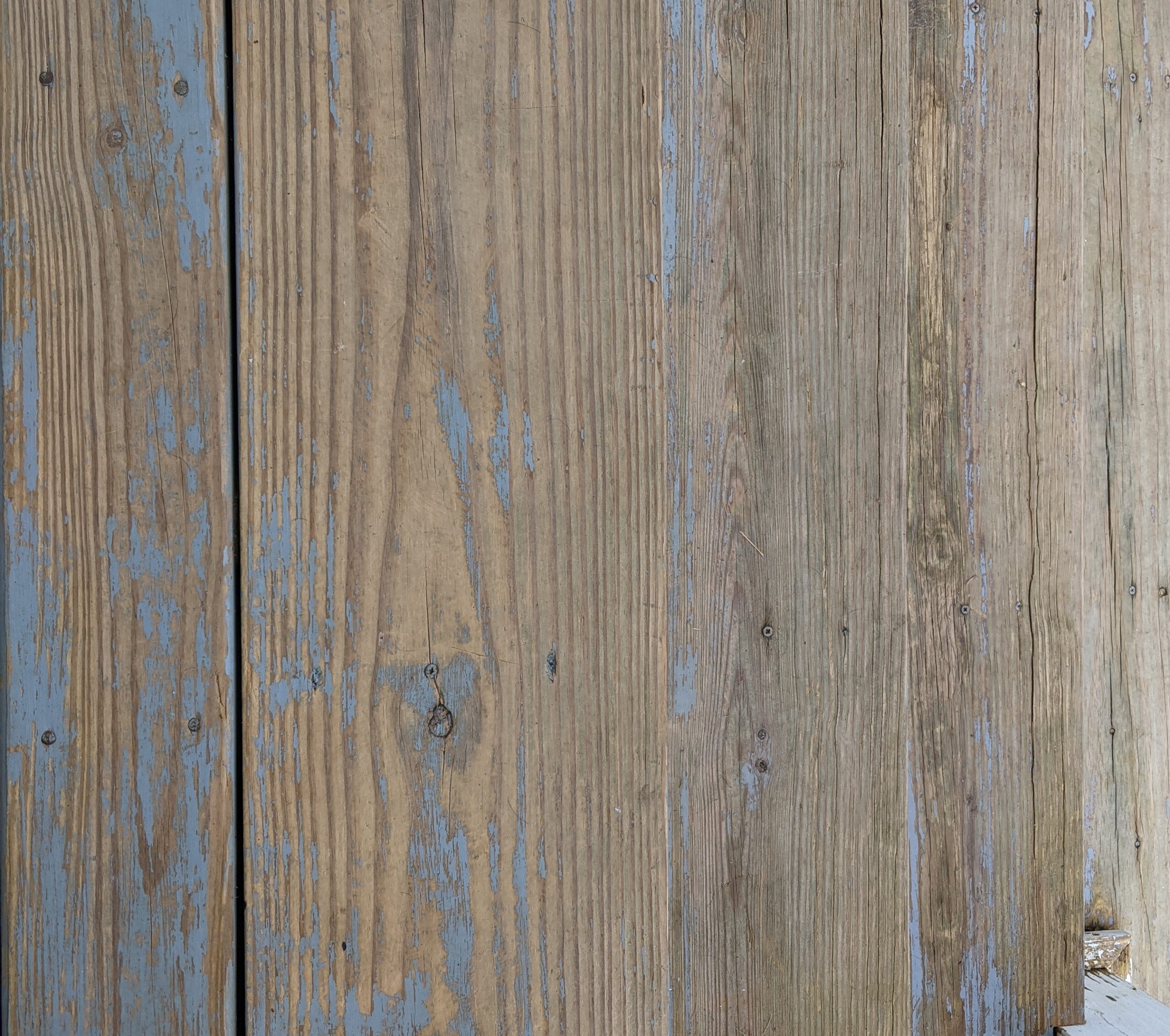 Sun Joe 1600 PSI Electric Pressure Washer with 11-Amp Motor and 1.1 GPM, SPX1000 - Portable Water Cleaner with Adjustable Spray Wand for Car, Garden, and Patio Washing and Cleaning customer photo 1