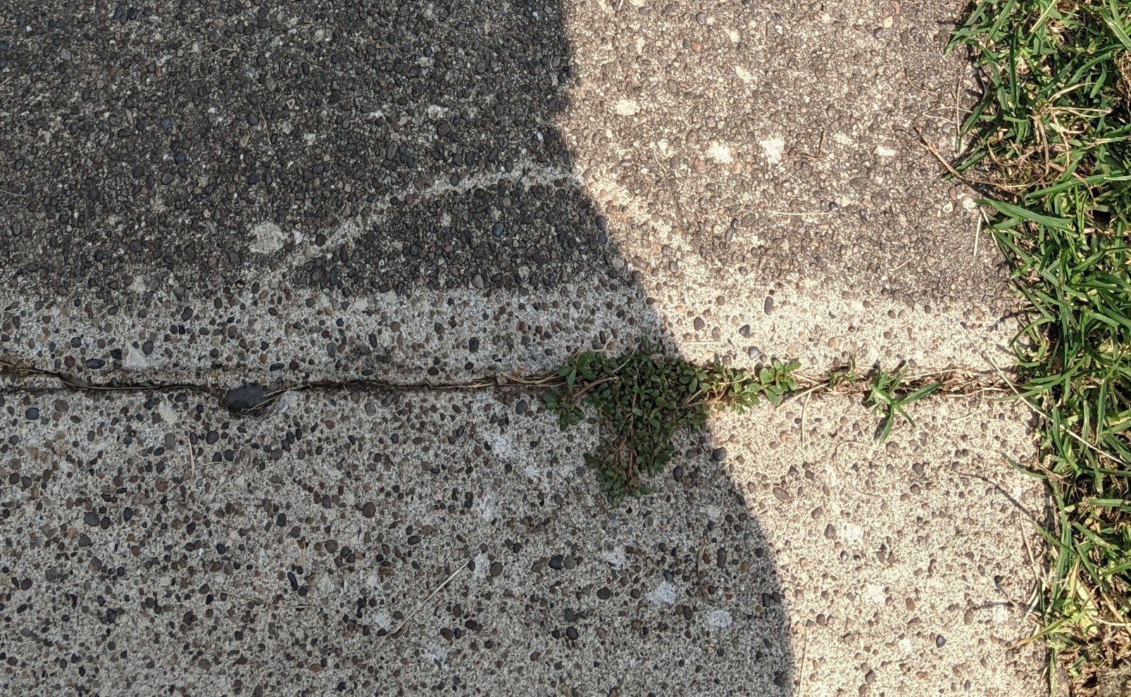 Sun Joe 1600 PSI Electric Pressure Washer with 11-Amp Motor and 1.1 GPM, SPX1000 - Portable Water Cleaner with Adjustable Spray Wand for Car, Garden, and Patio Washing and Cleaning customer photo 2