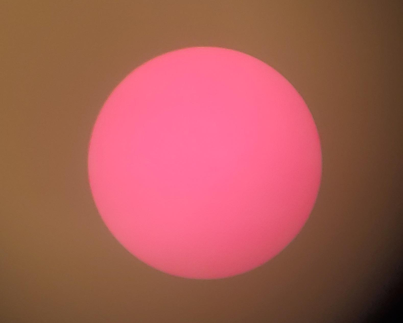 Celestron - Regal M2 100ED Spotting Scope - ED Glass for Birding and Outdoor Activities - Phase and Dielectric Coated BaK-4 Prism - Fully Multi-Coated Optics - Dual Focus - 22-67x Zoom Eyepiece customer photo 1