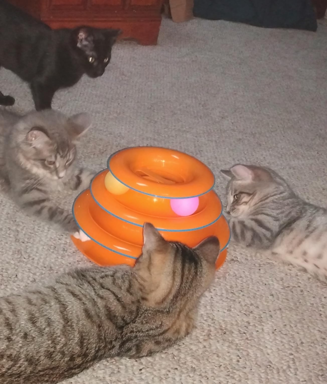 Catstages Tower of Tracks Cat Toy - 3-Level Track Tower with 6 Balls, Interactive Cat Toy for Indoor Enrichment customer photo 1