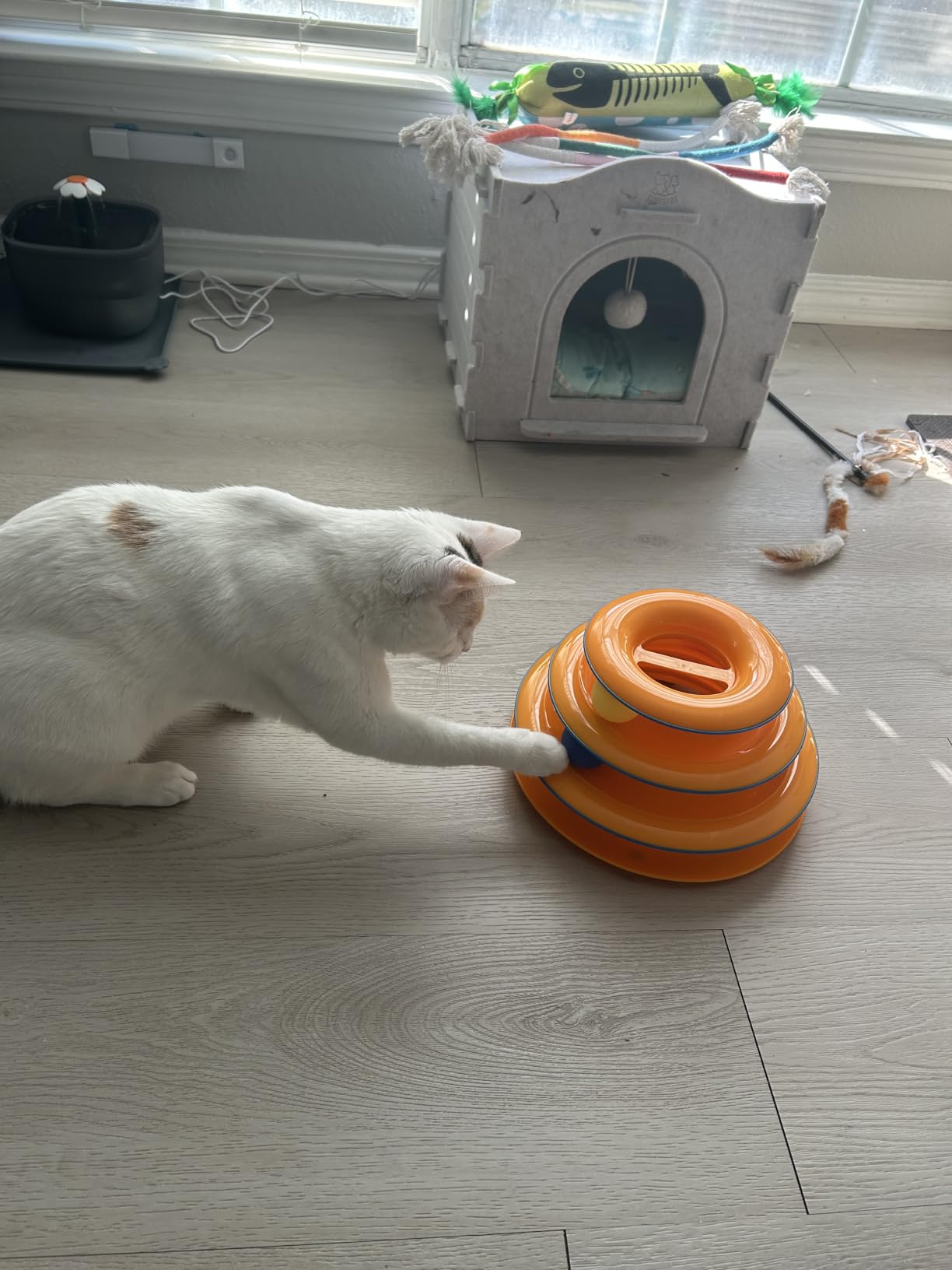 Catstages Tower of Tracks Cat Toy - 3-Level Track Tower with 6 Balls, Interactive Cat Toy for Indoor Enrichment customer photo 2